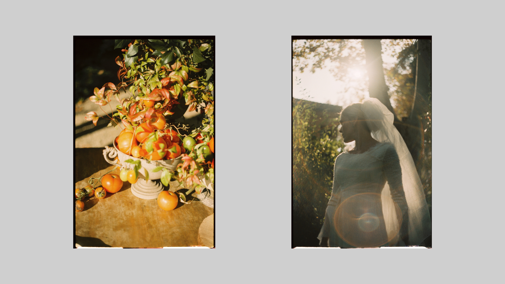 Fotografía cuidada y estética con carrete y al atardecer. Composición artística