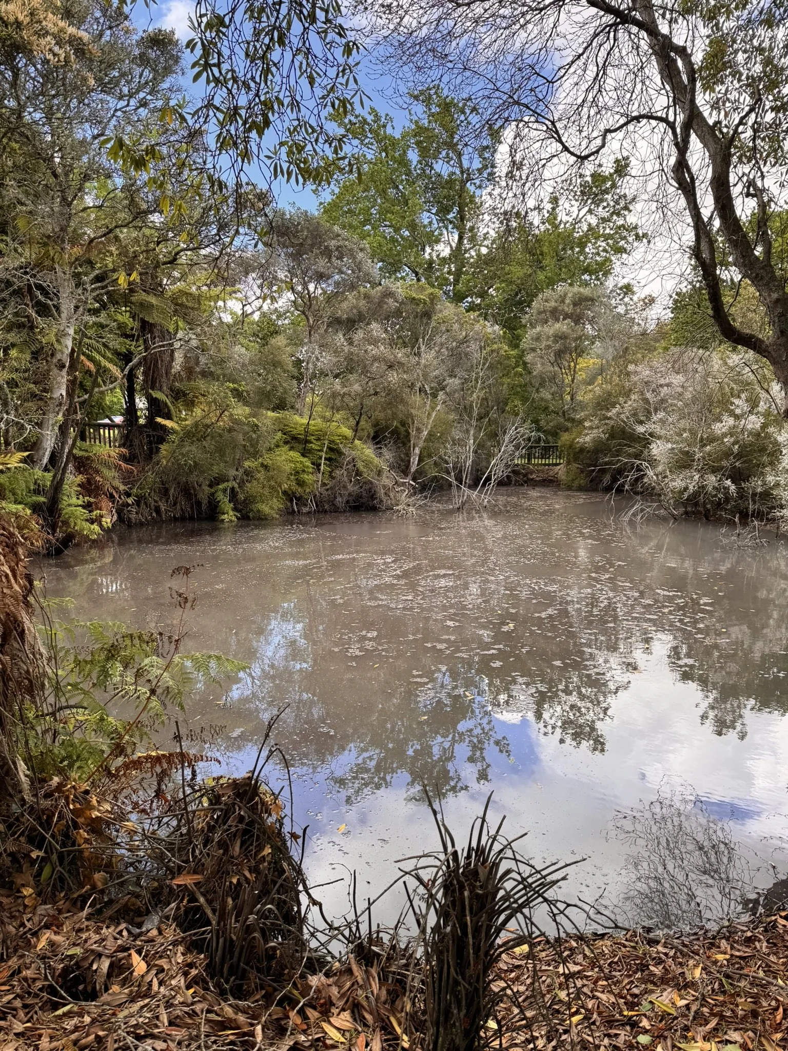 Rotorua hot springs