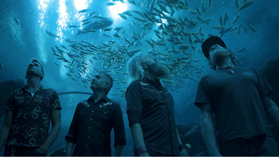 Four men stand underwater in a large aquarium, looking upward at a school of fish swimming above.
