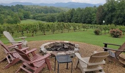 Indivisible Burke NC Social Gathering 