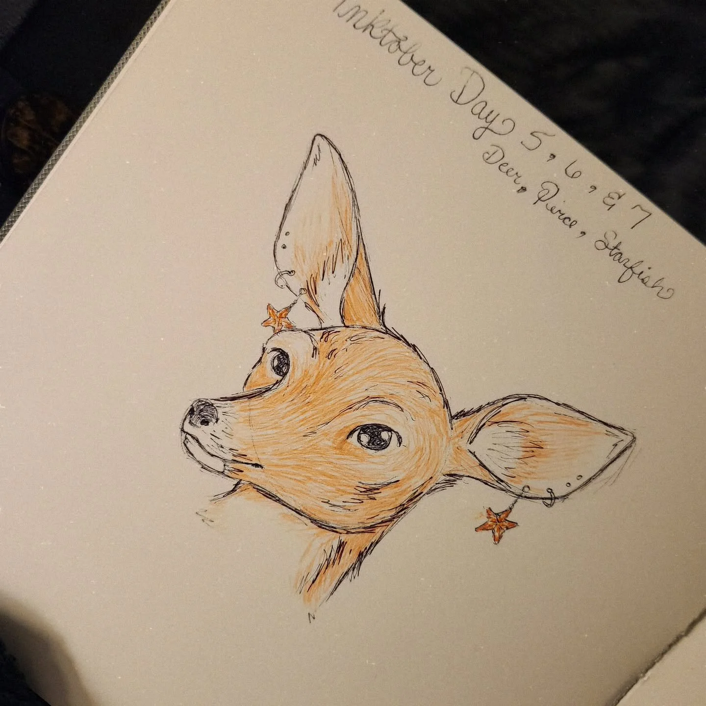 Inktober Days 5, 6, & 7: Deer, Pierce, and Starfish
.
.
.
#inktober #inktober2025 #drawing #sketch #art #artchallenge