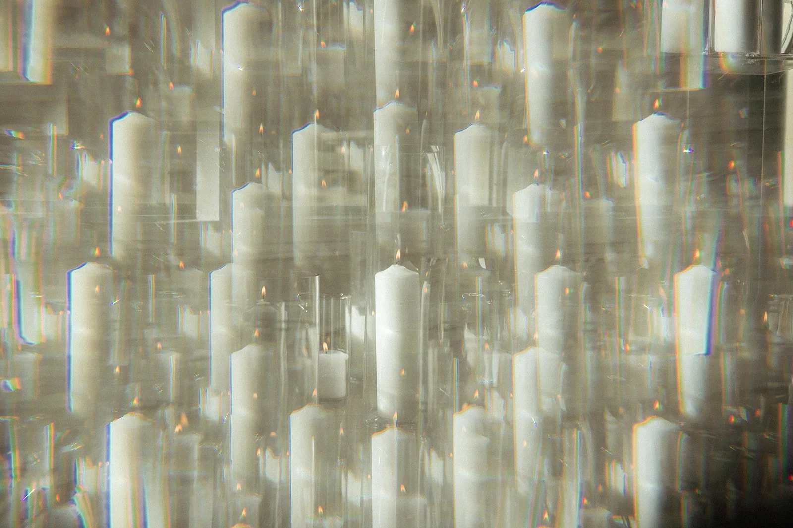 2S5A2133.jpg