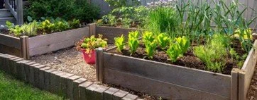 Hügelkultur Beds: The Best Raised Beds for Your Garden.