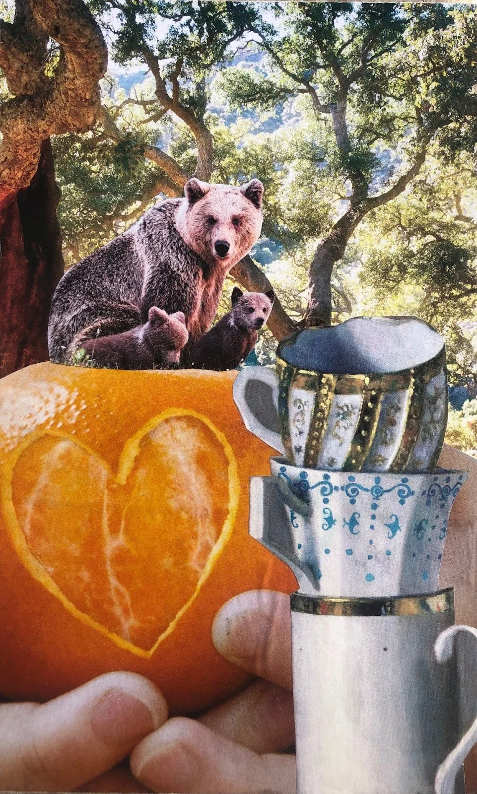 Connecting Through Collage to Your Animal Guide