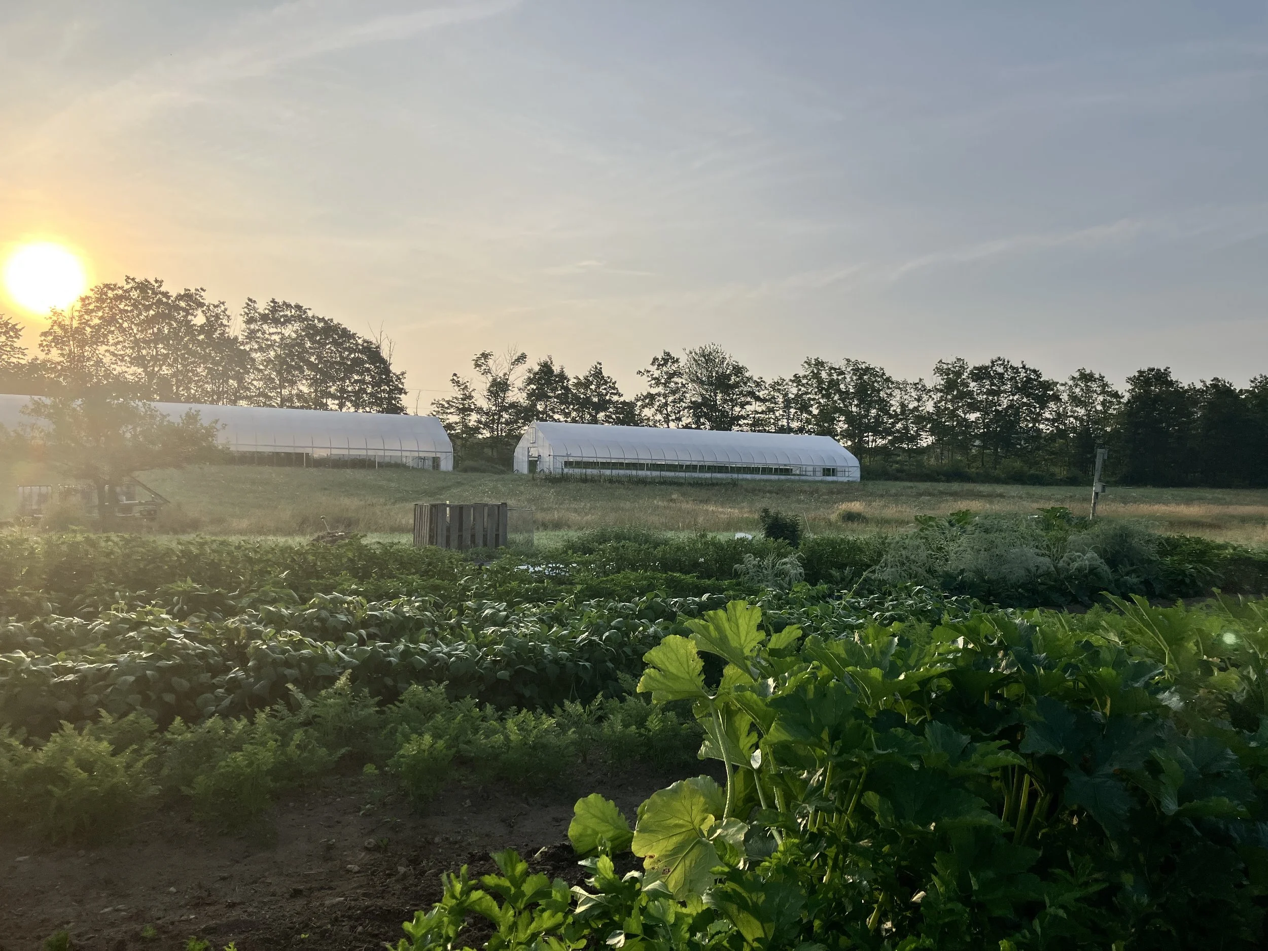 IMG_7147 2 - Emily and Jacob Sherwood.JPG