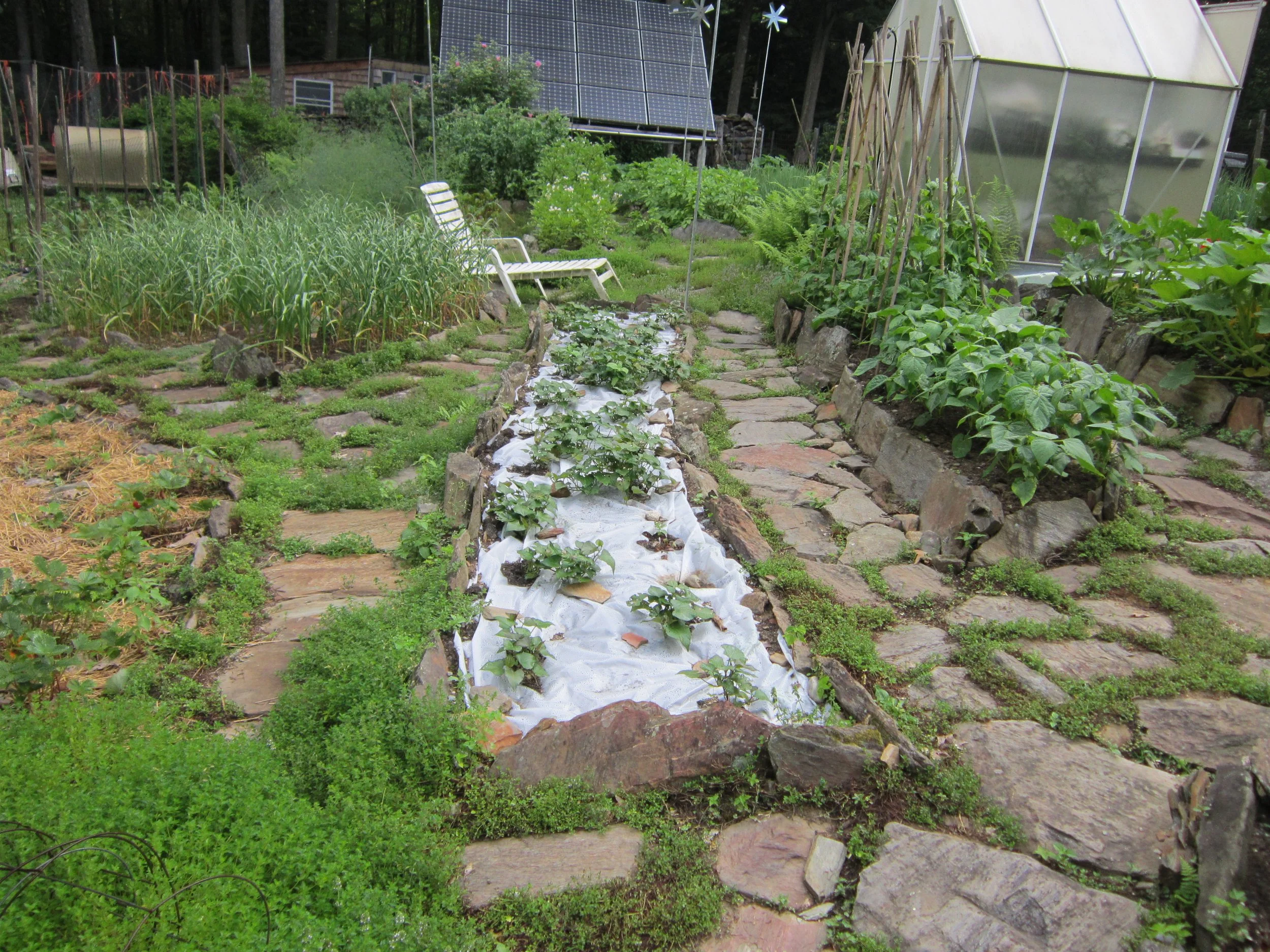 Growing A Great Garden