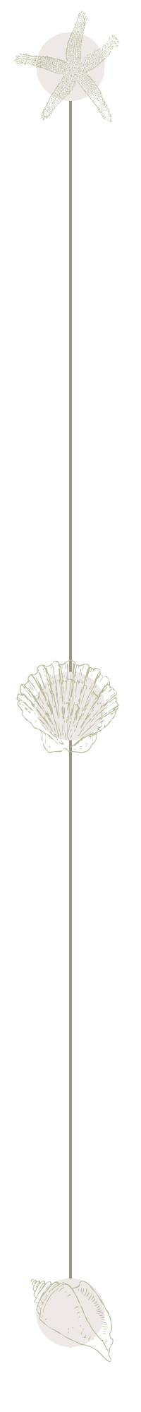 A photo of a vertical string with three decorative paper or fabric flowers attached, each flower at different positions along the string.