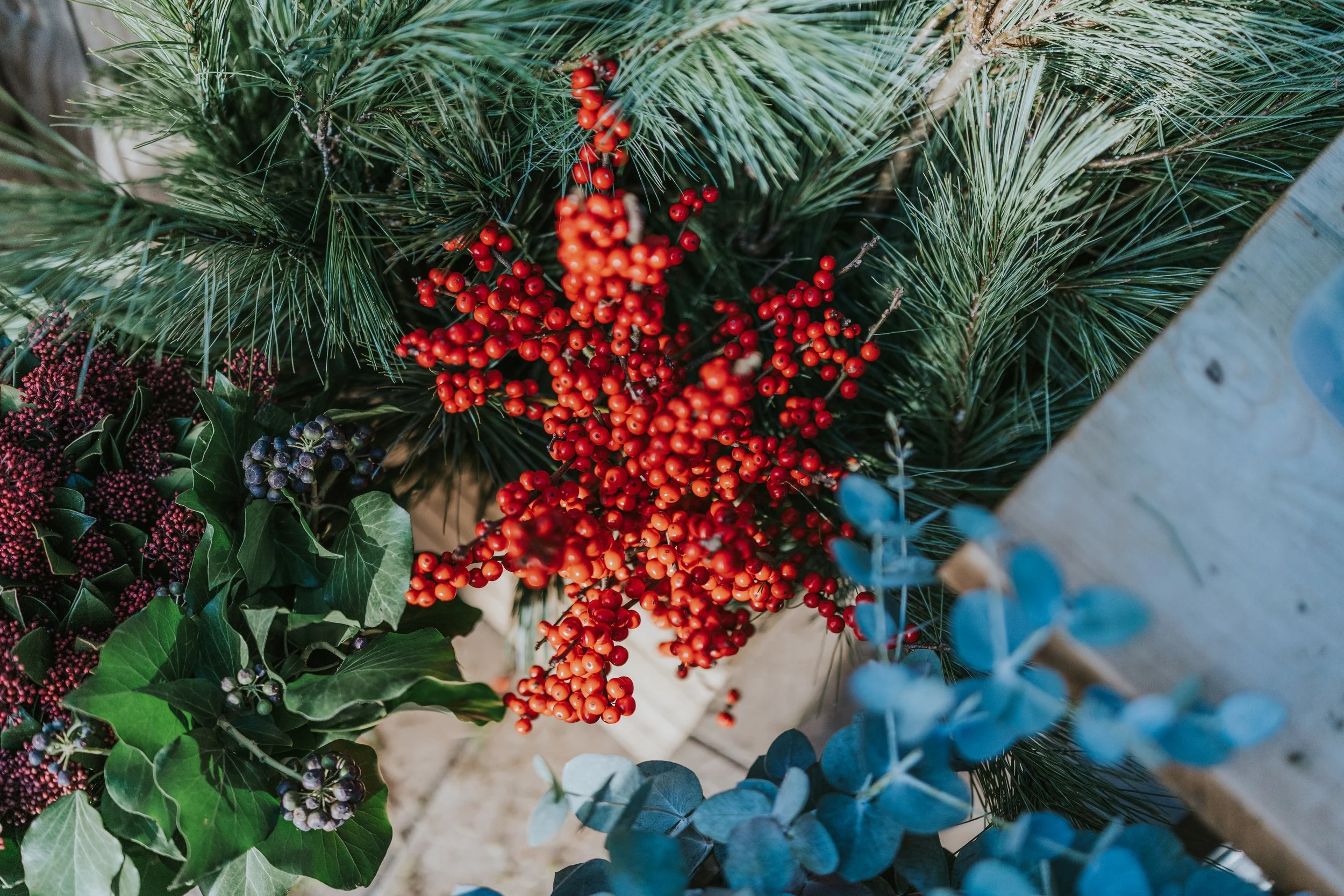 Close-up of holiday greenery with red berries, green pine branches, holly leaves, blue eucalyptus leaves, and purple berries.