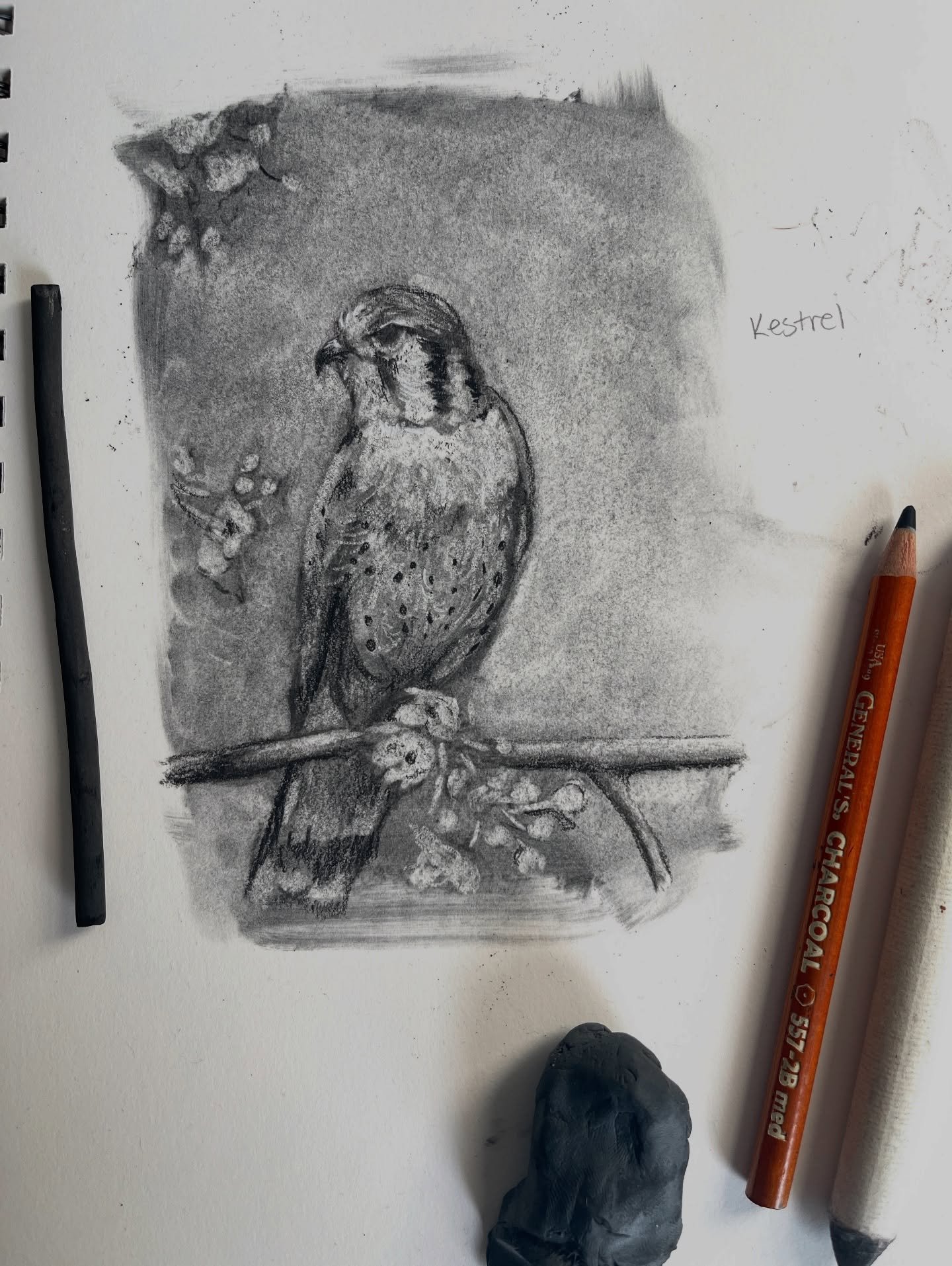 ✨A few snippets of my creative space recently✨ 

Looking back at January I definitely didn&rsquo;t create as much as I thought I was going to. The cold weather, life and work seemed to pile on each other. But for the windows of time I was able to cre