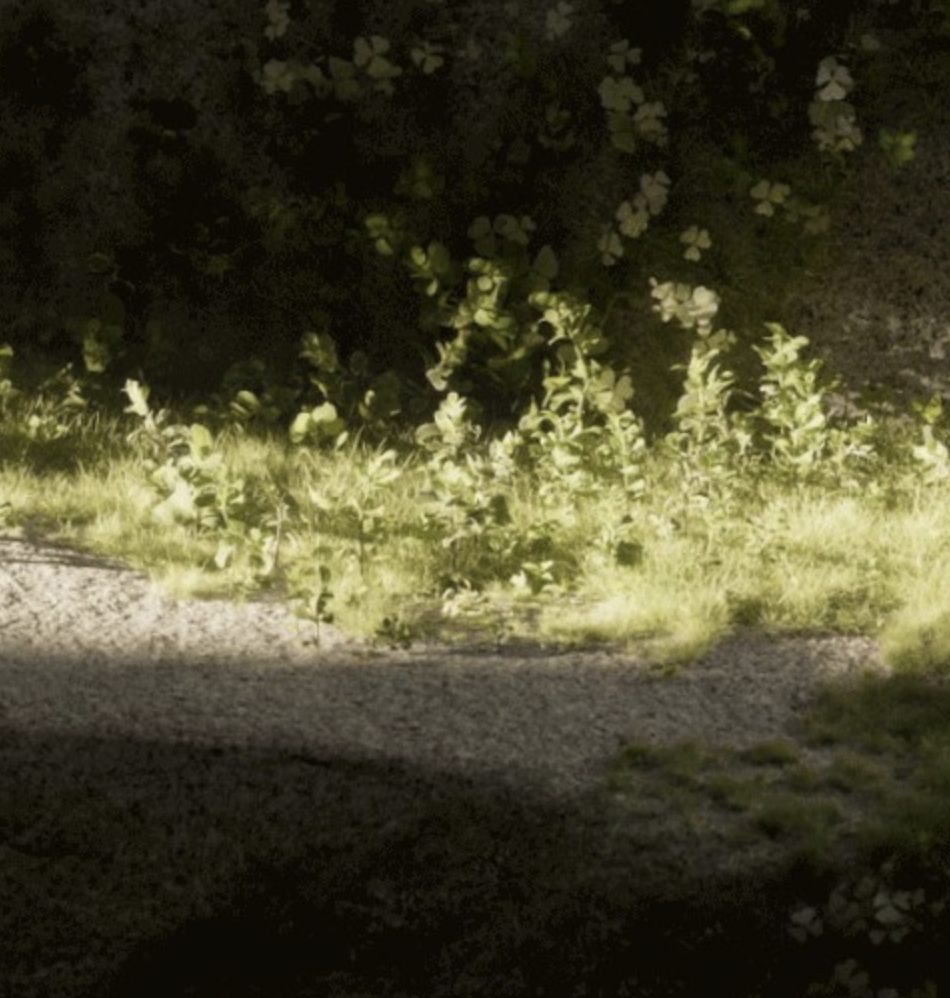 Beginning of an outdoor pathway with part of the path in shadows in the foreground leading to an illuminated section casting light on bushes, grass and continued walkway.