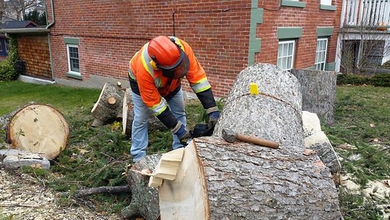 A worker in safety gear chopping a fallen tree trunk with an axe in a backyard.