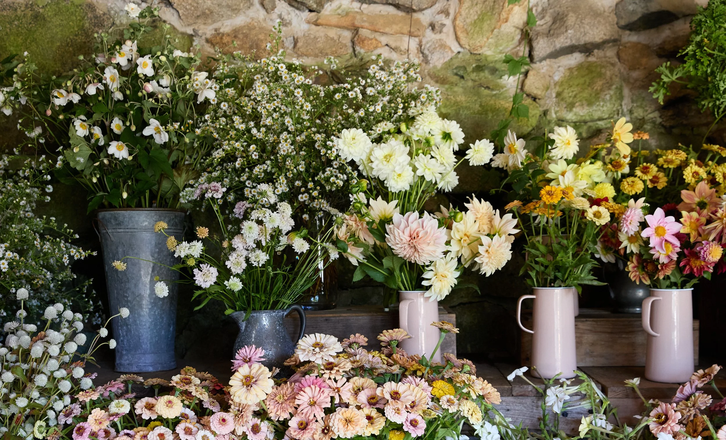Various white, pink, yellow, and orange flowers in vases and pots against a stone wall background.