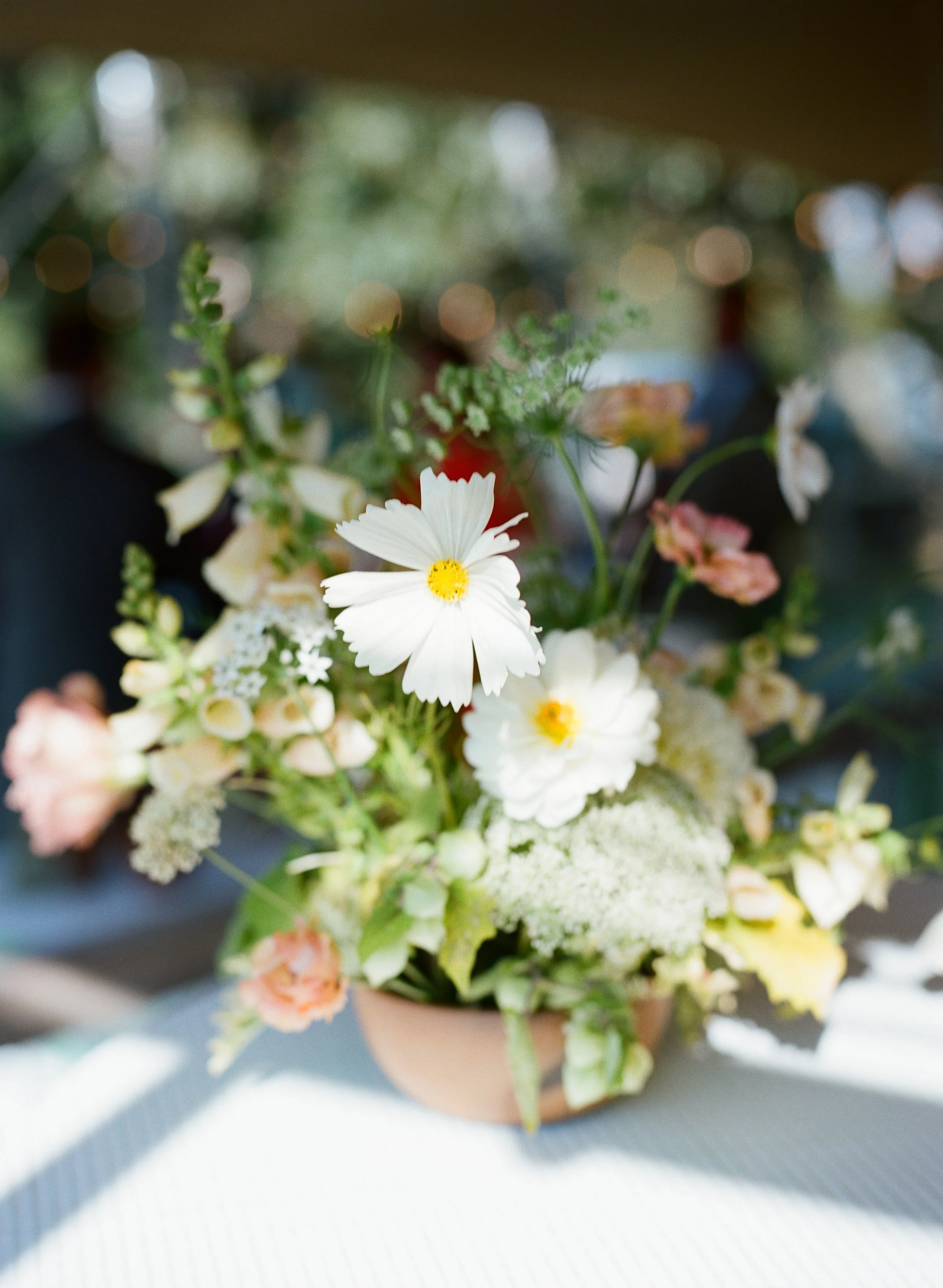 Ari+Will_Details-54.jpg