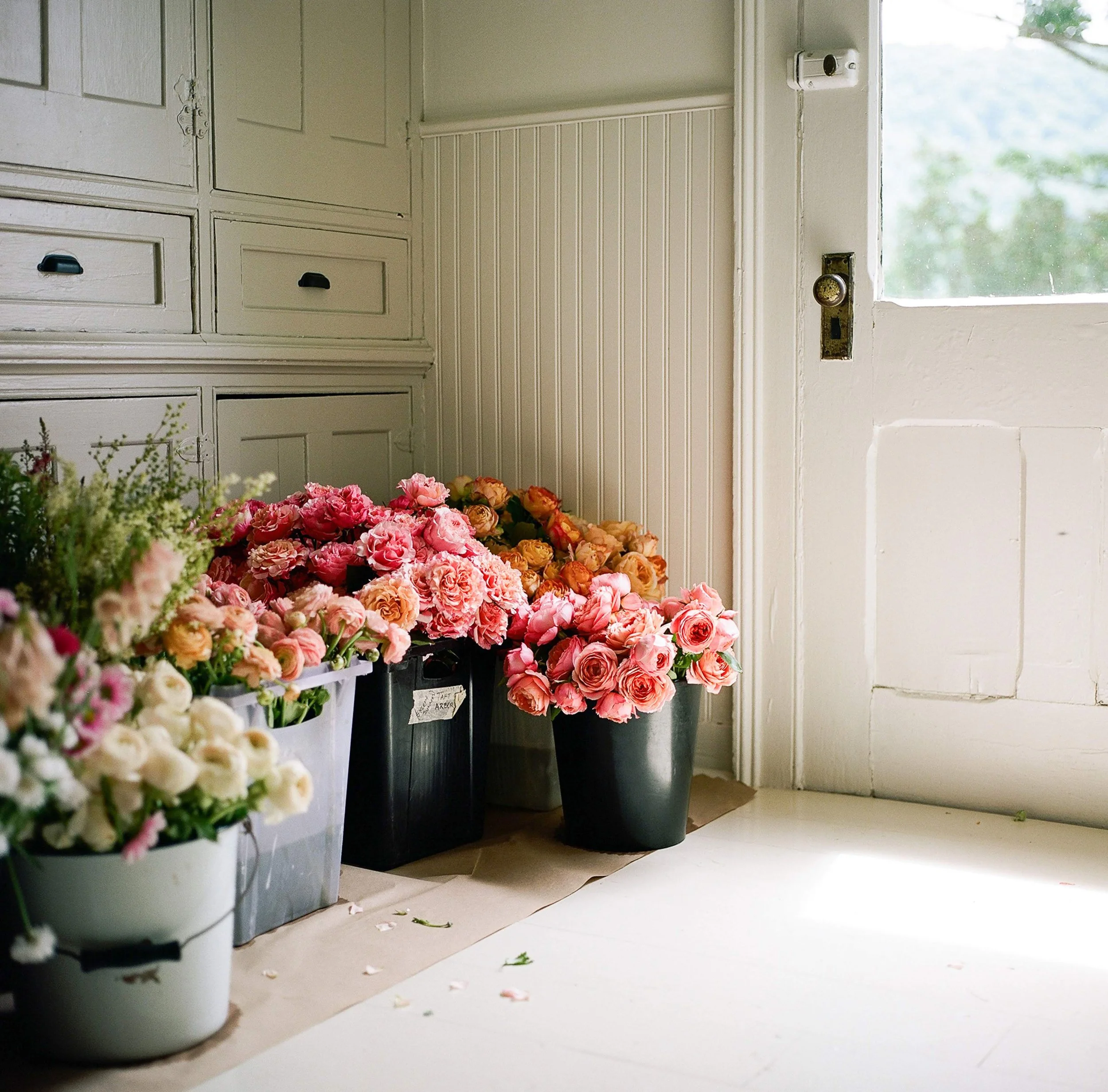 Flowers (Elbert) 8.jpg