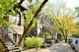 Rue résidentielle bordée d'arbres avec des maisons en briques et des voitures stationnées.