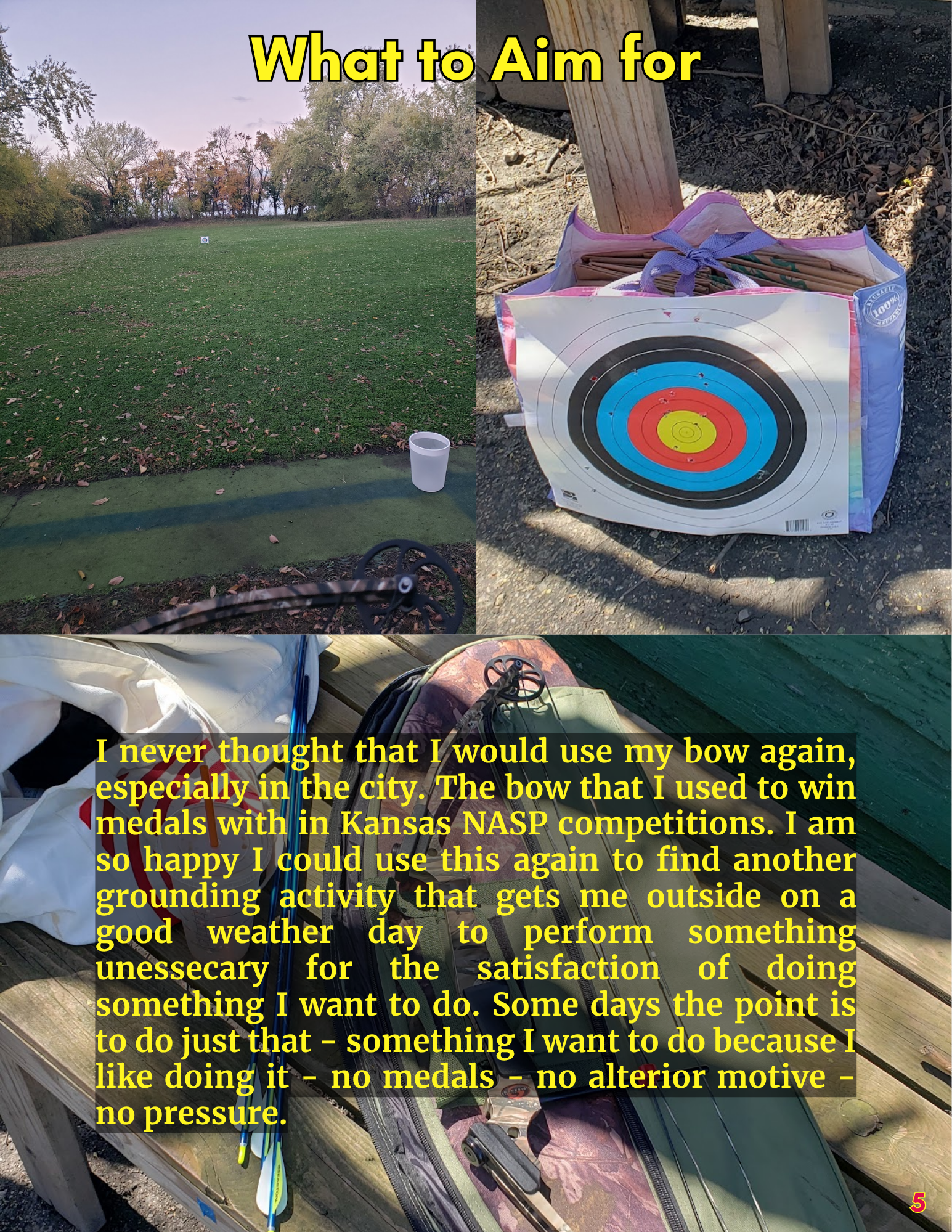 Page 5 - What to Aim For