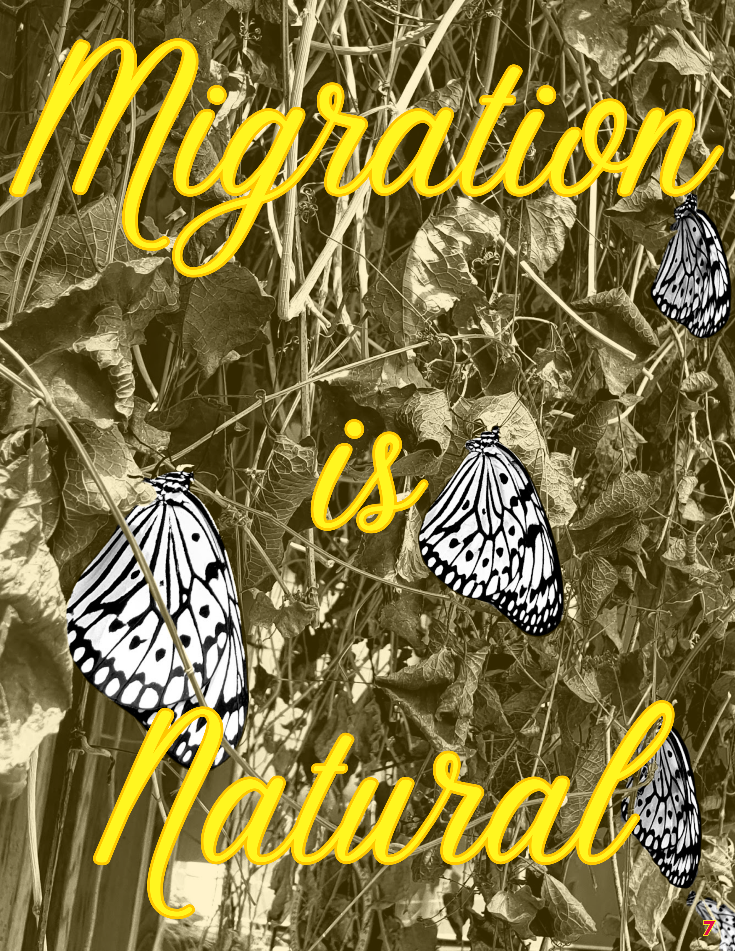 Page 7 - Migration is Natural