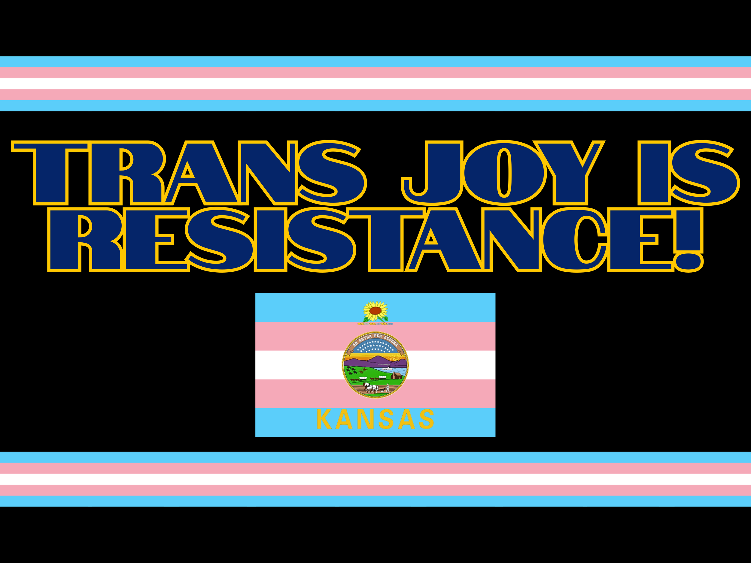 "Trans Joy is Resistance!" poster ~ Designed in Canva