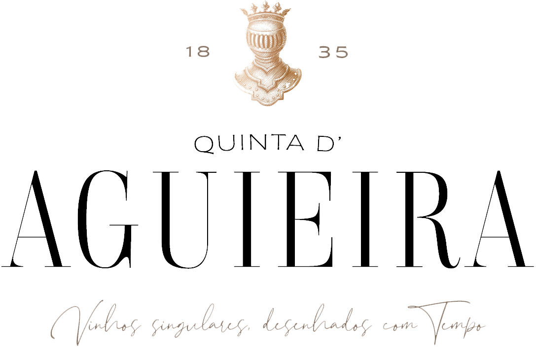 Quinta D'Aguieira | Aveleda - Wine