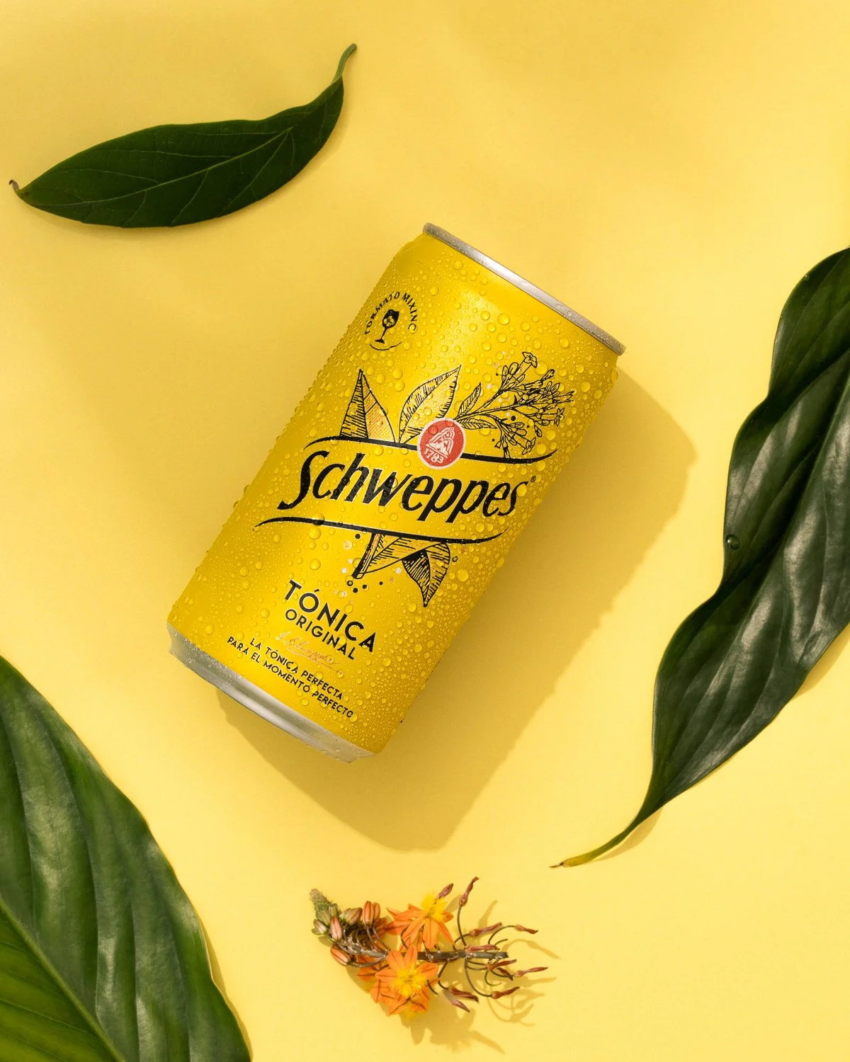 Schweppes