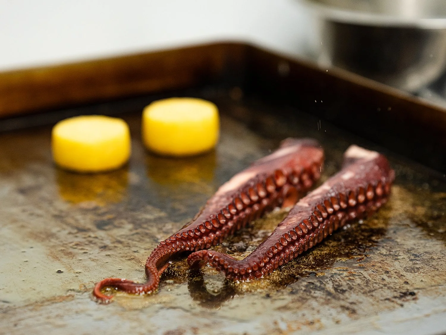 Salt & Honey Restaurant - Grilled Octopus (Vienna, Austria)