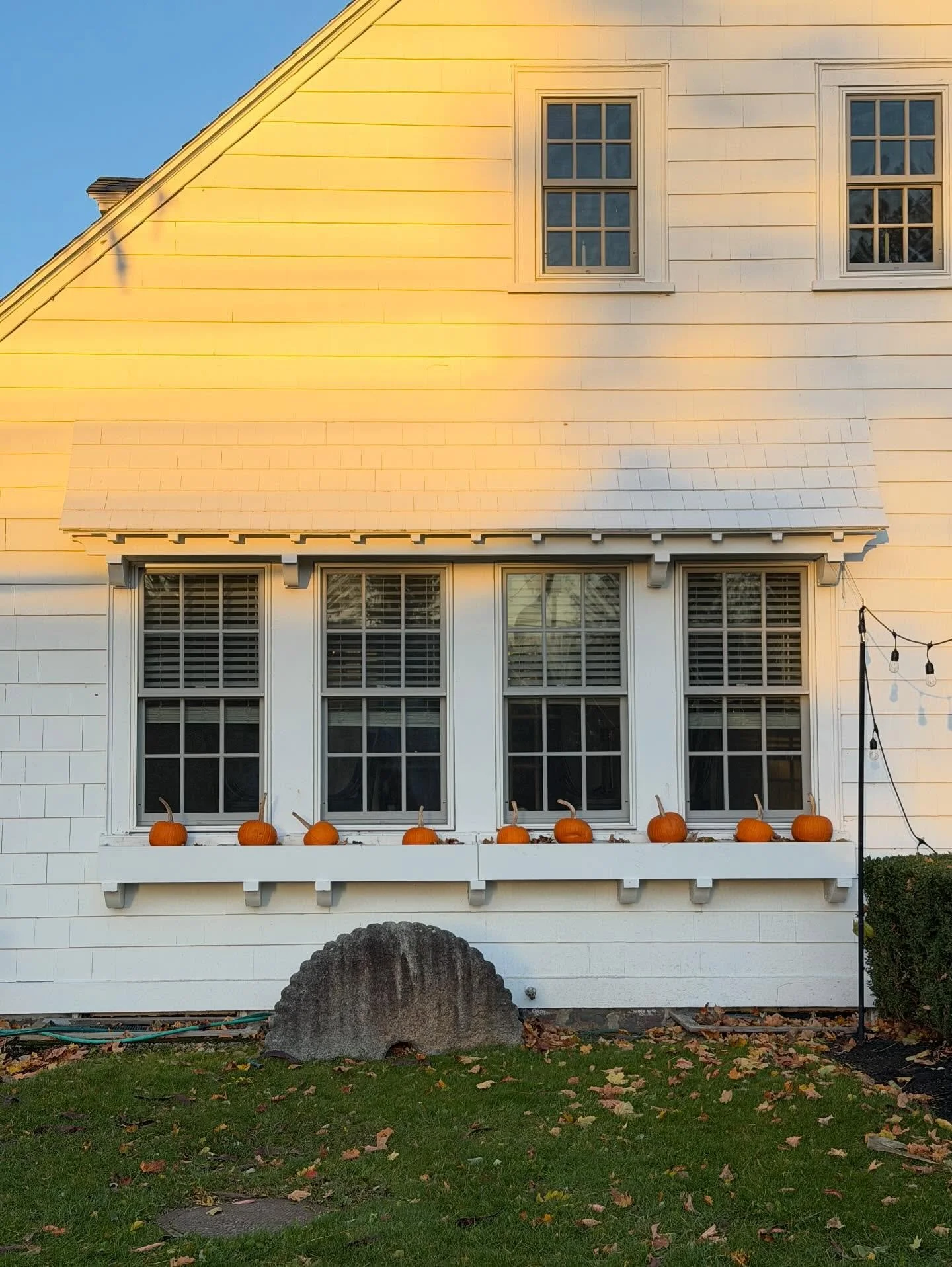 Here&rsquo;s some Emotional Support Autumn for your feed. Consider it a palate cleanser.