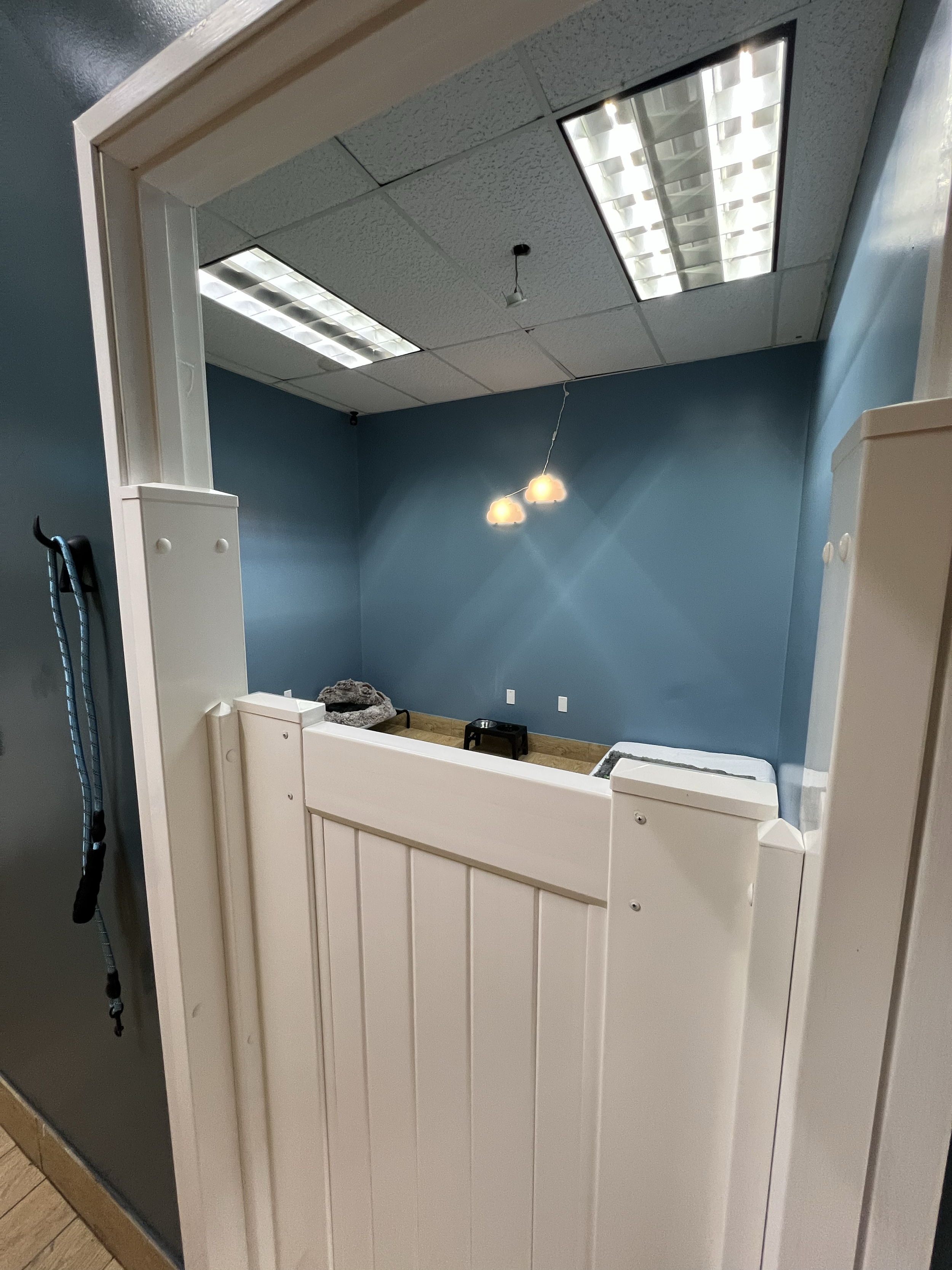 Blue Room