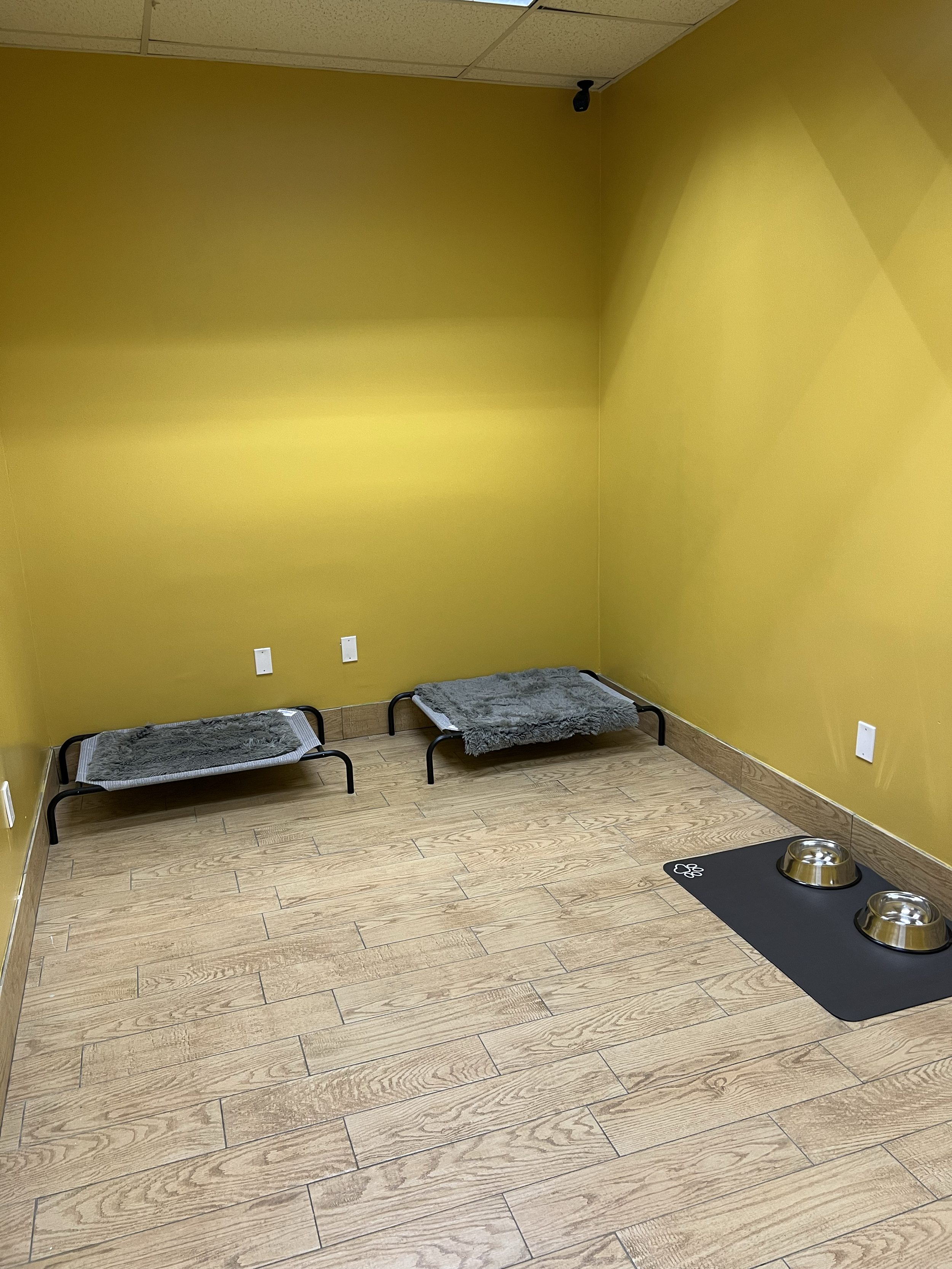 Yellow Room