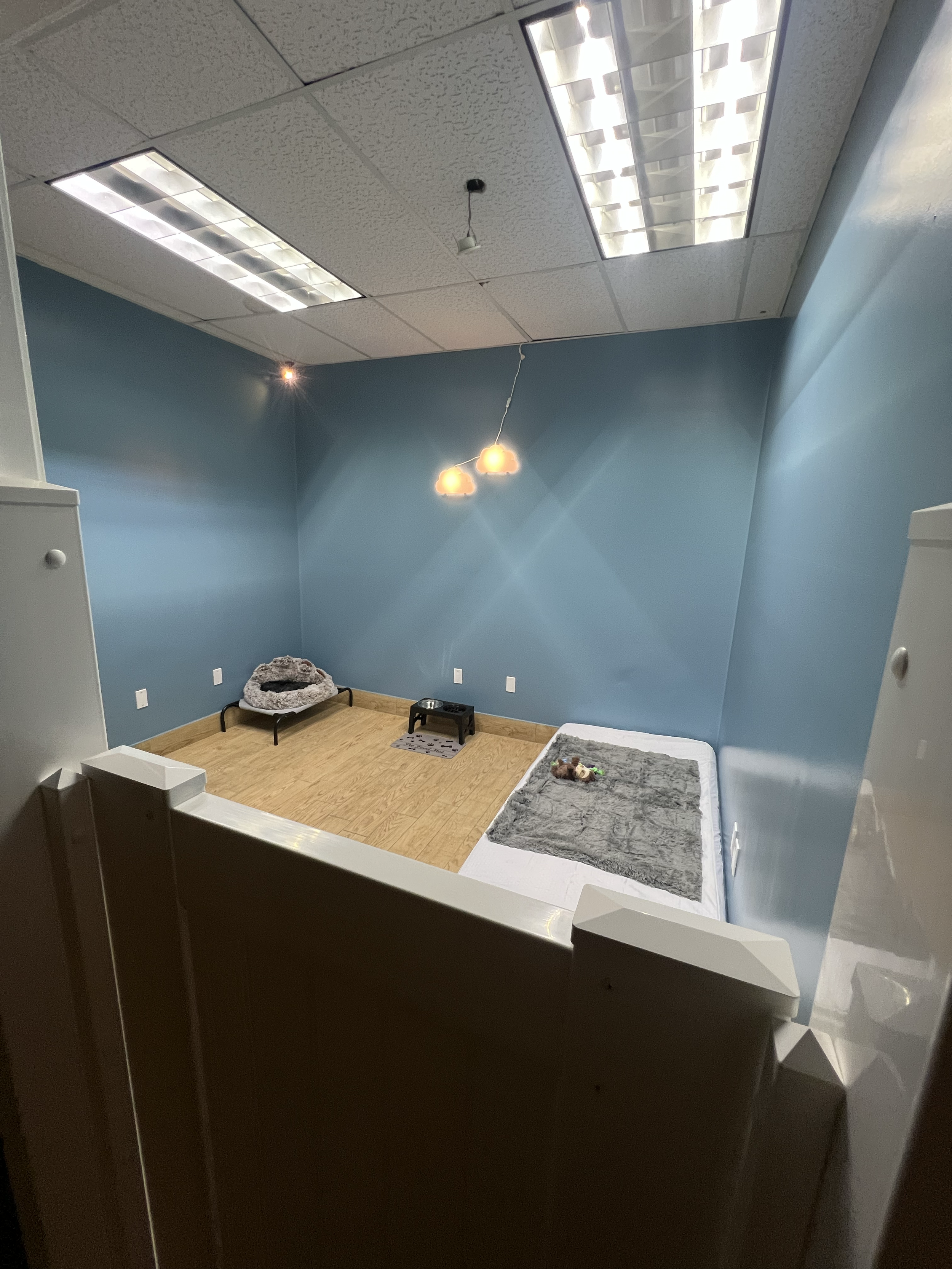 Blue Room