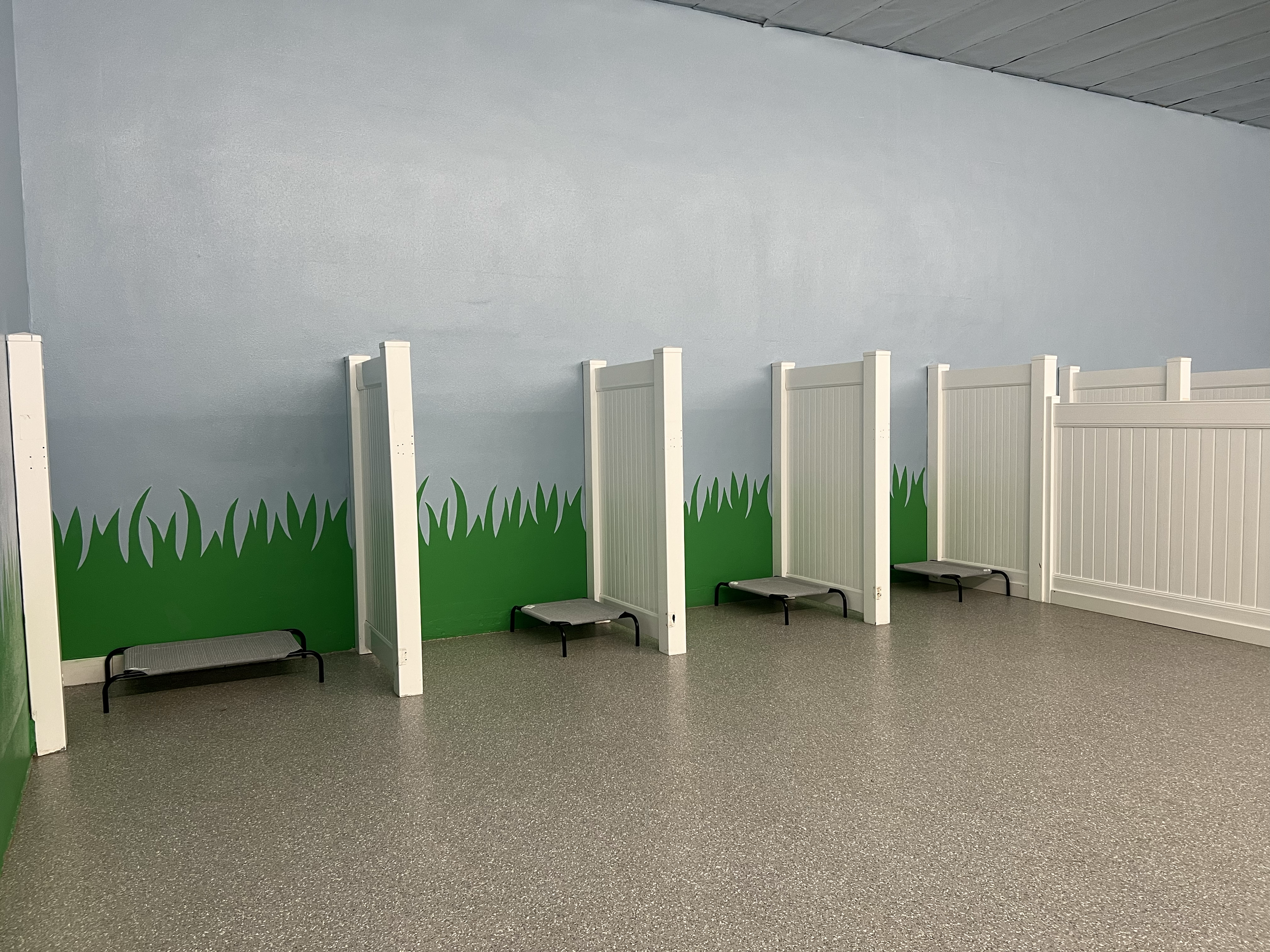 Area for small dogs