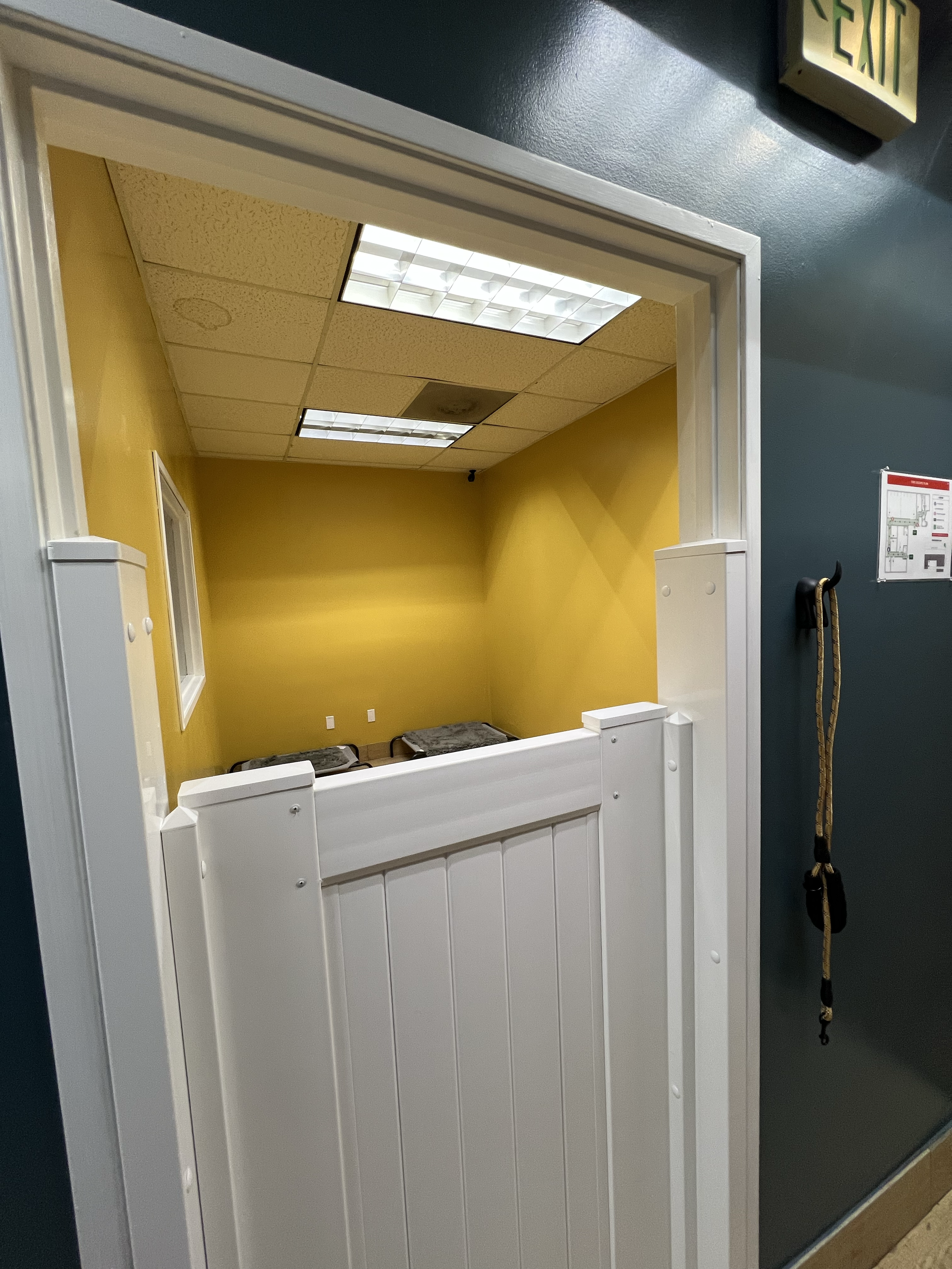 Yellow Room