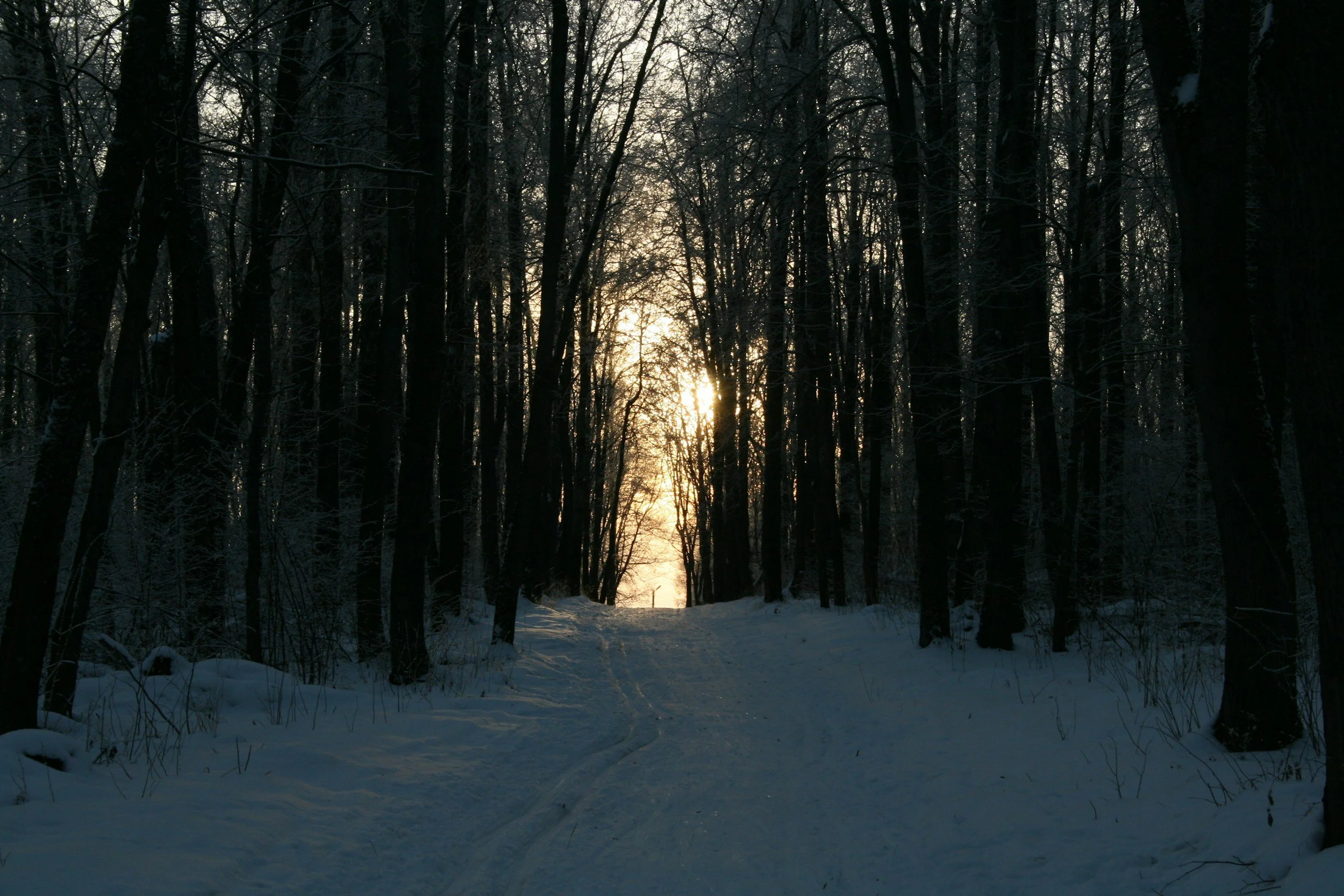 The Winter I Stopped Asking for Permission