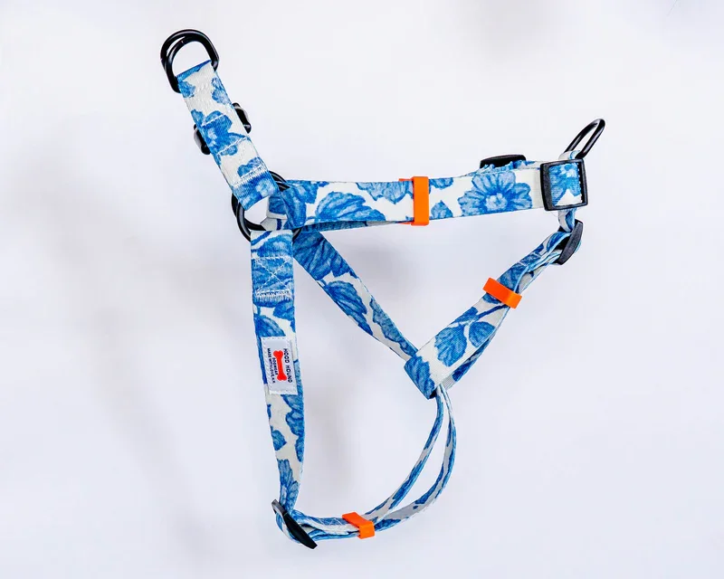 Harness_BlueDream.webp