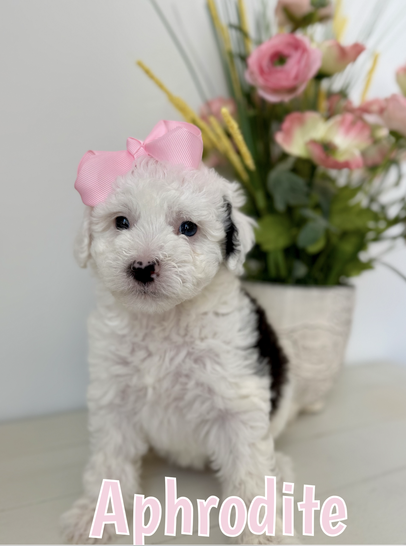 Screen Shot 2026-03-04 at 1.17.10 PM.png