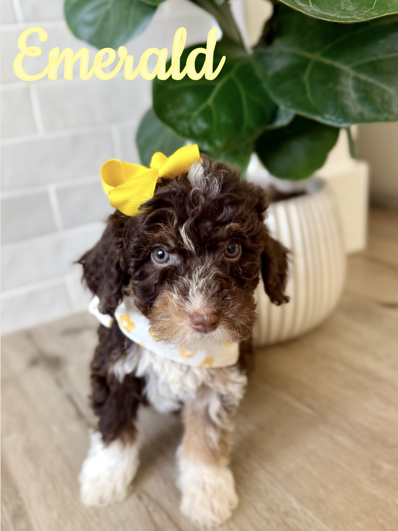 Screen Shot 2026-03-04 at 11.53.01 AM.png