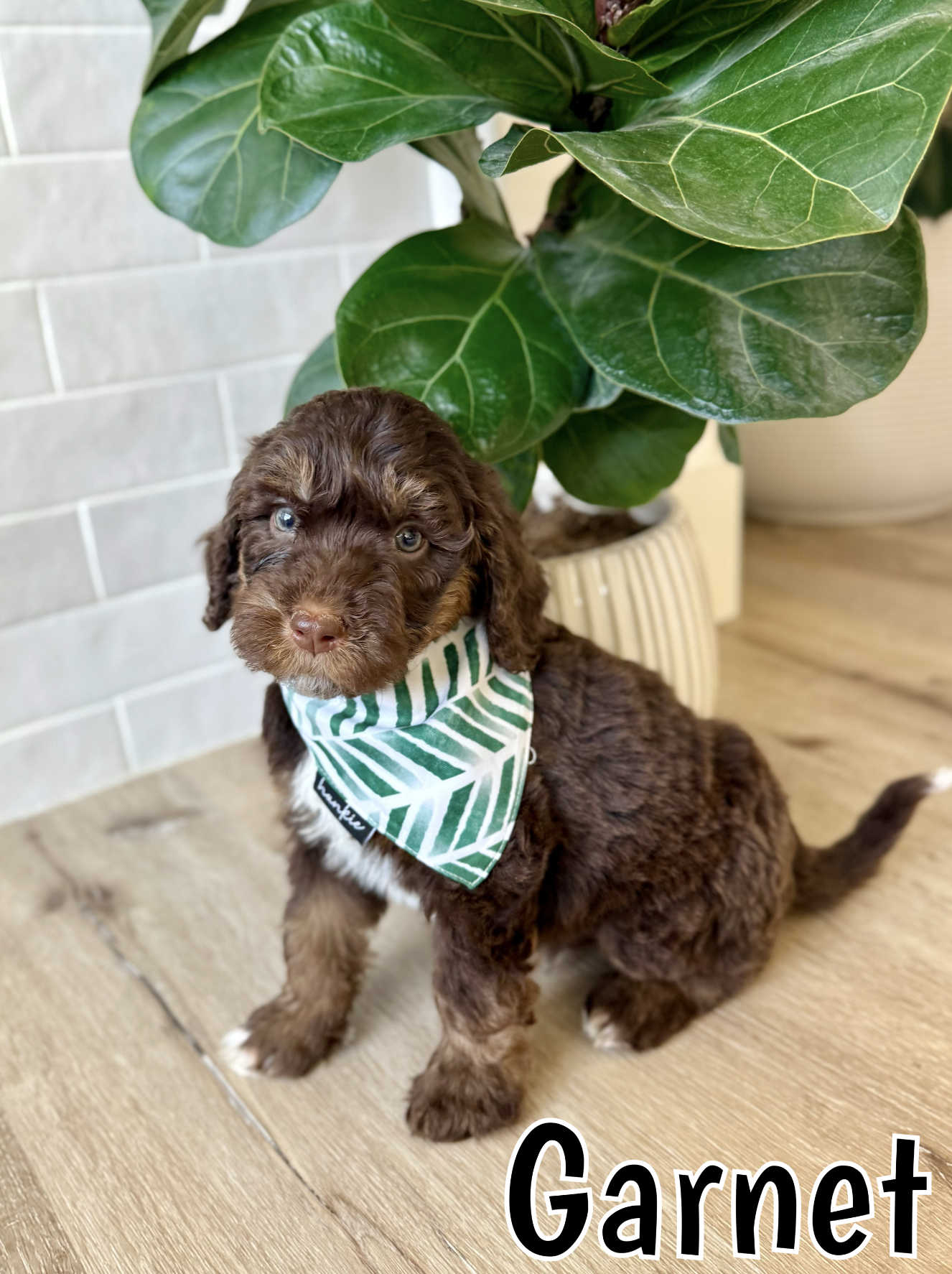 Screen Shot 2026-03-04 at 11.54.04 AM.png