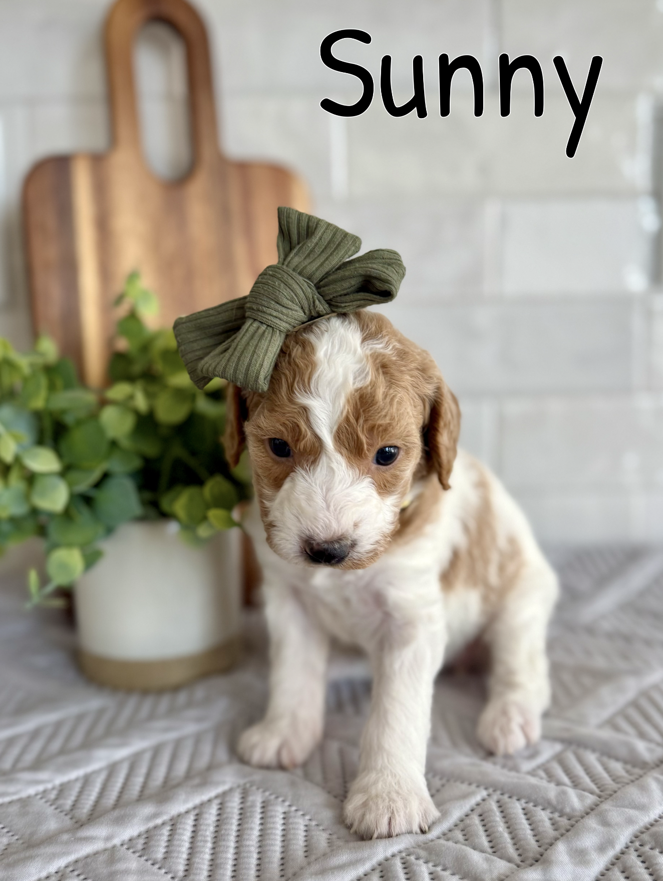 Screen Shot 2026-03-15 at 6.13.11 PM.png