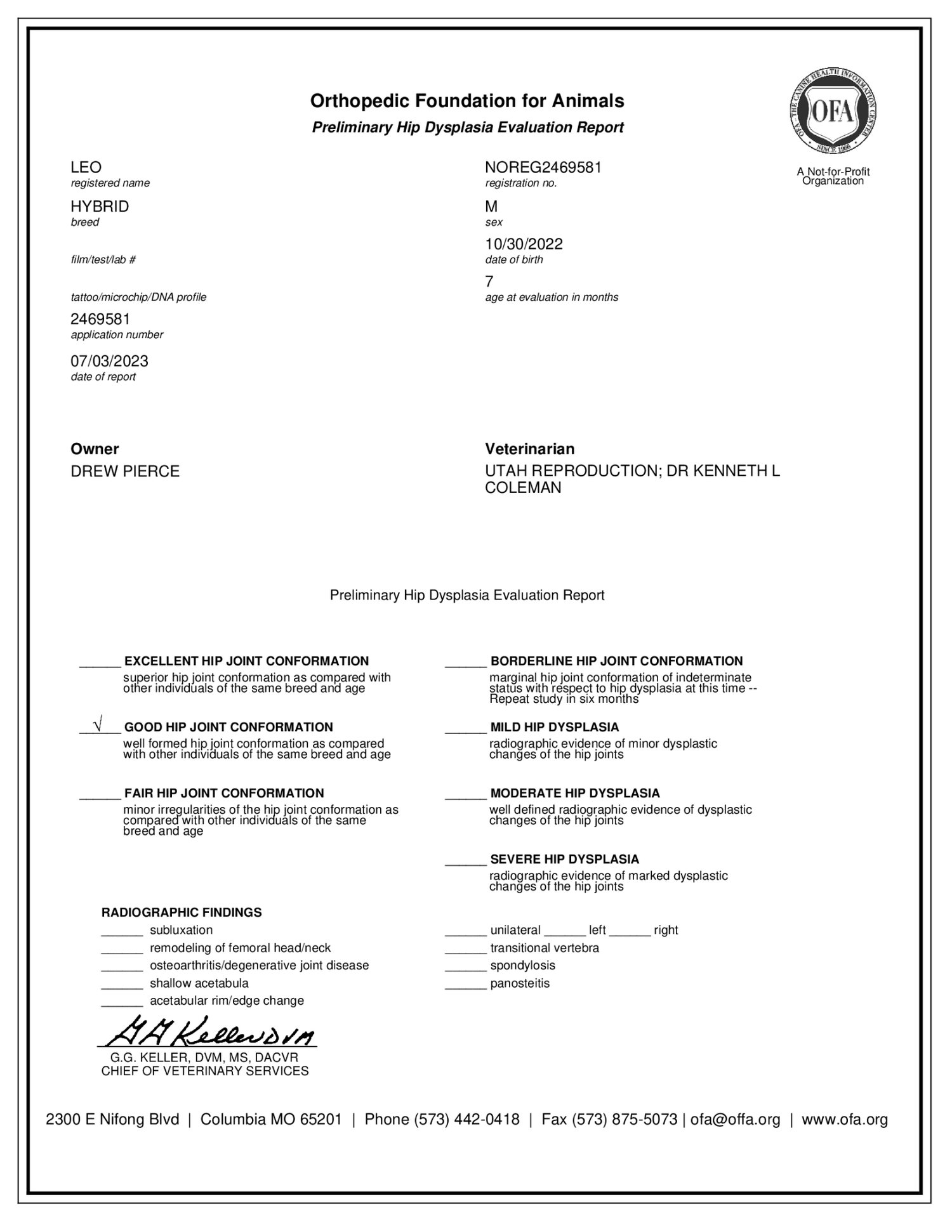 OFA Preliminary Hip Dysplasia Evaluation Report for Mini Goldendoodle stud Leo showing Good hip joint conformation on both hips, performed at 7 months of age by Dr. Kenneth L. Coleman at Utah Reproduction in Salt Lake City, Utah