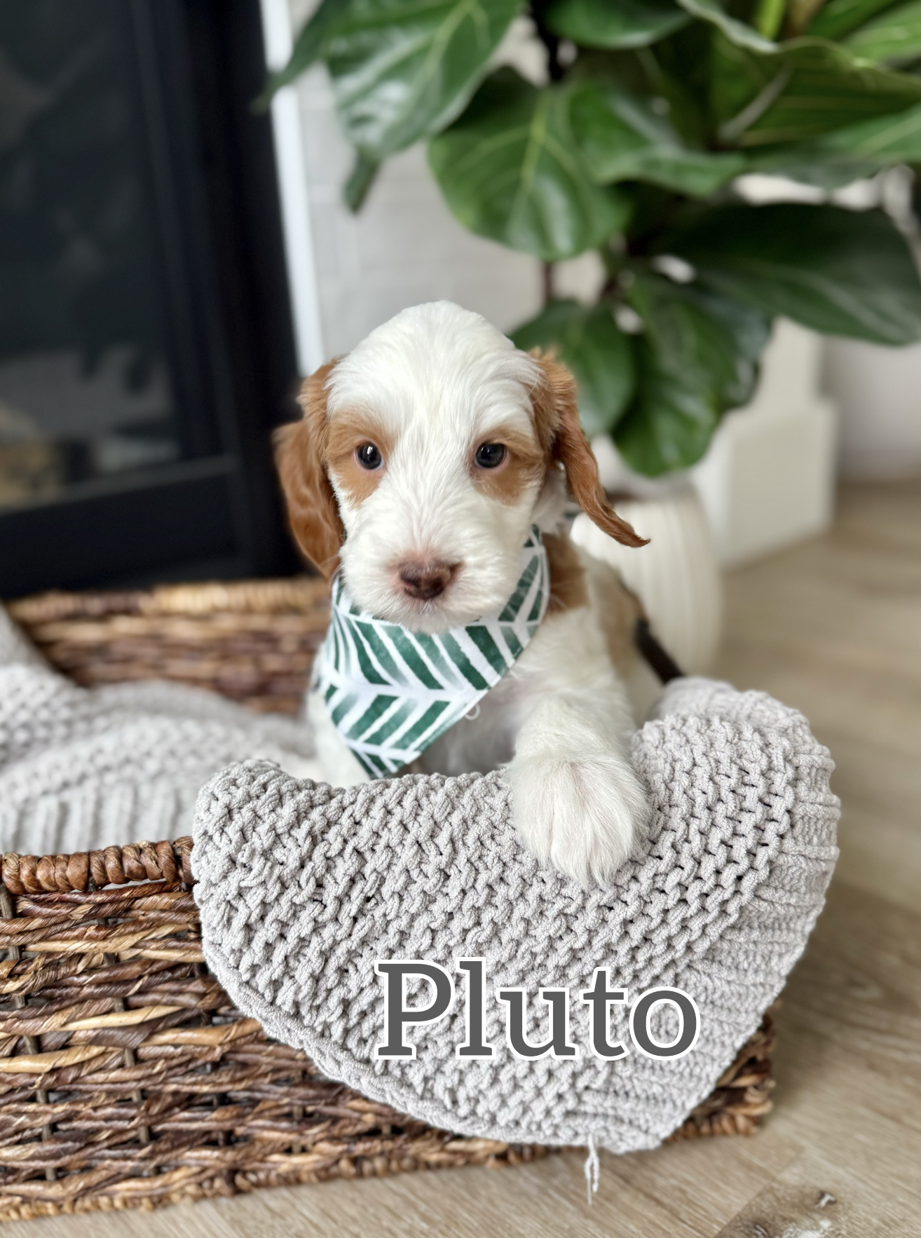 Screen Shot 2026-03-23 at 10.55.47 AM.png