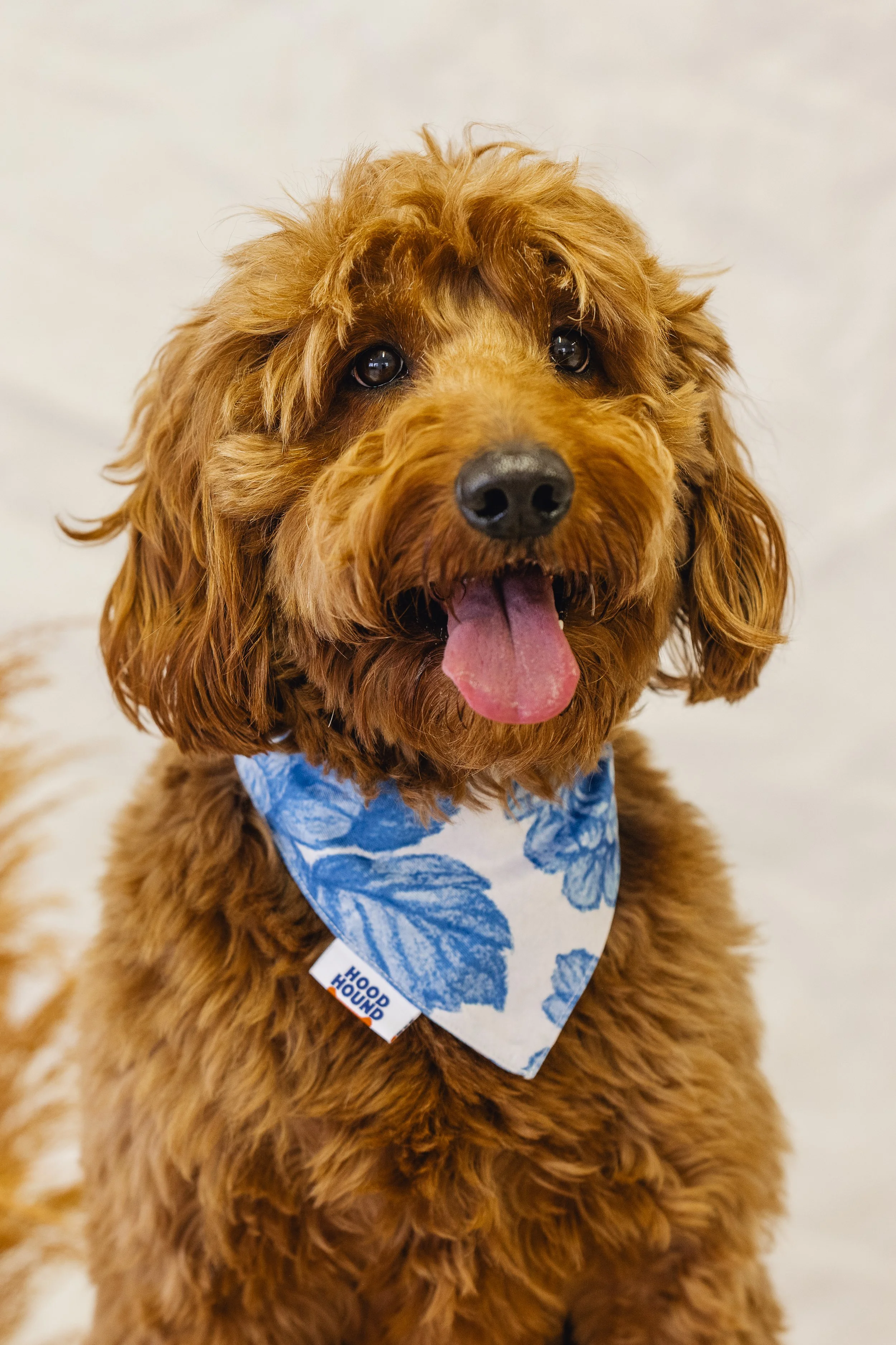 HoodHounds_HWP-39.jpg