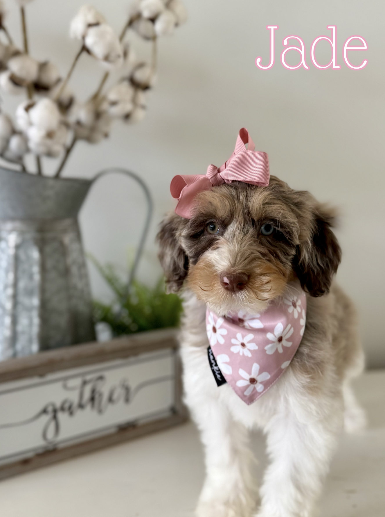 Screen Shot 2026-03-23 at 10.21.31 AM.png