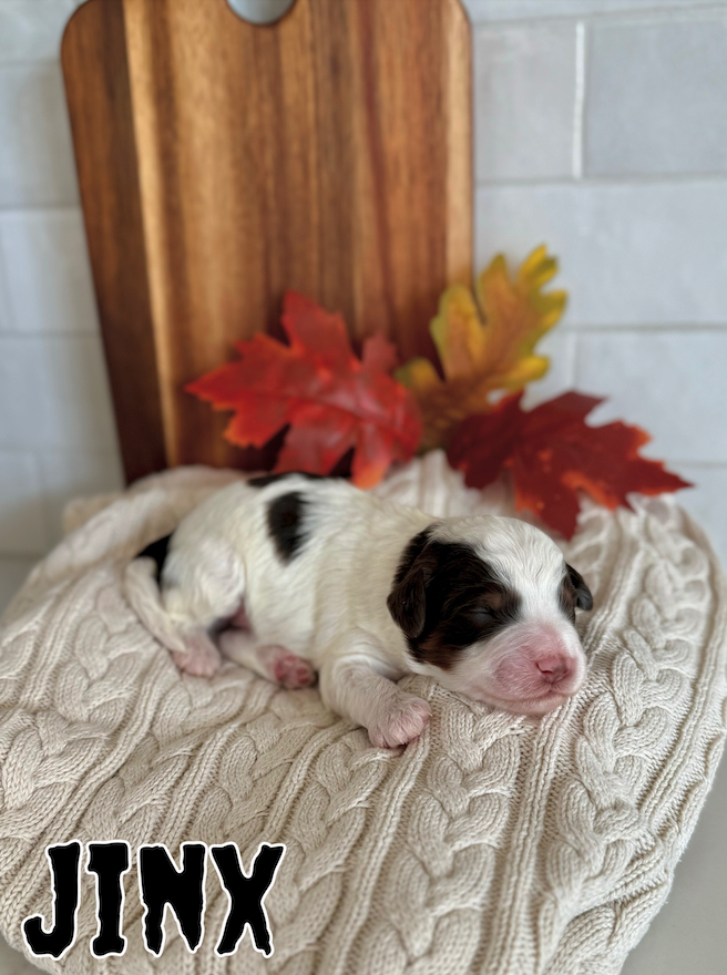 Male $2500
