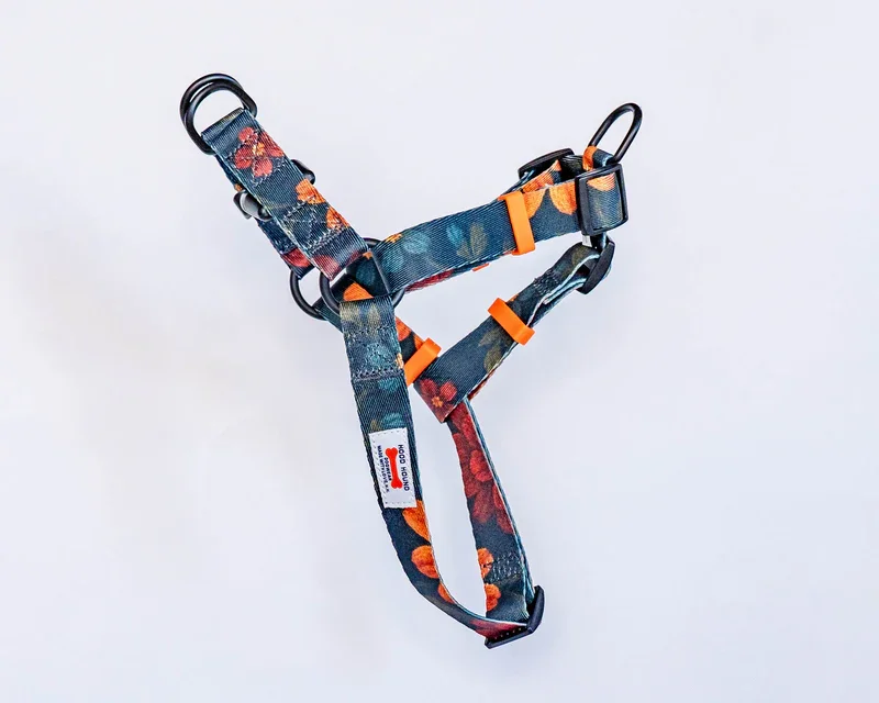 Harness_GrandmasCouch.webp