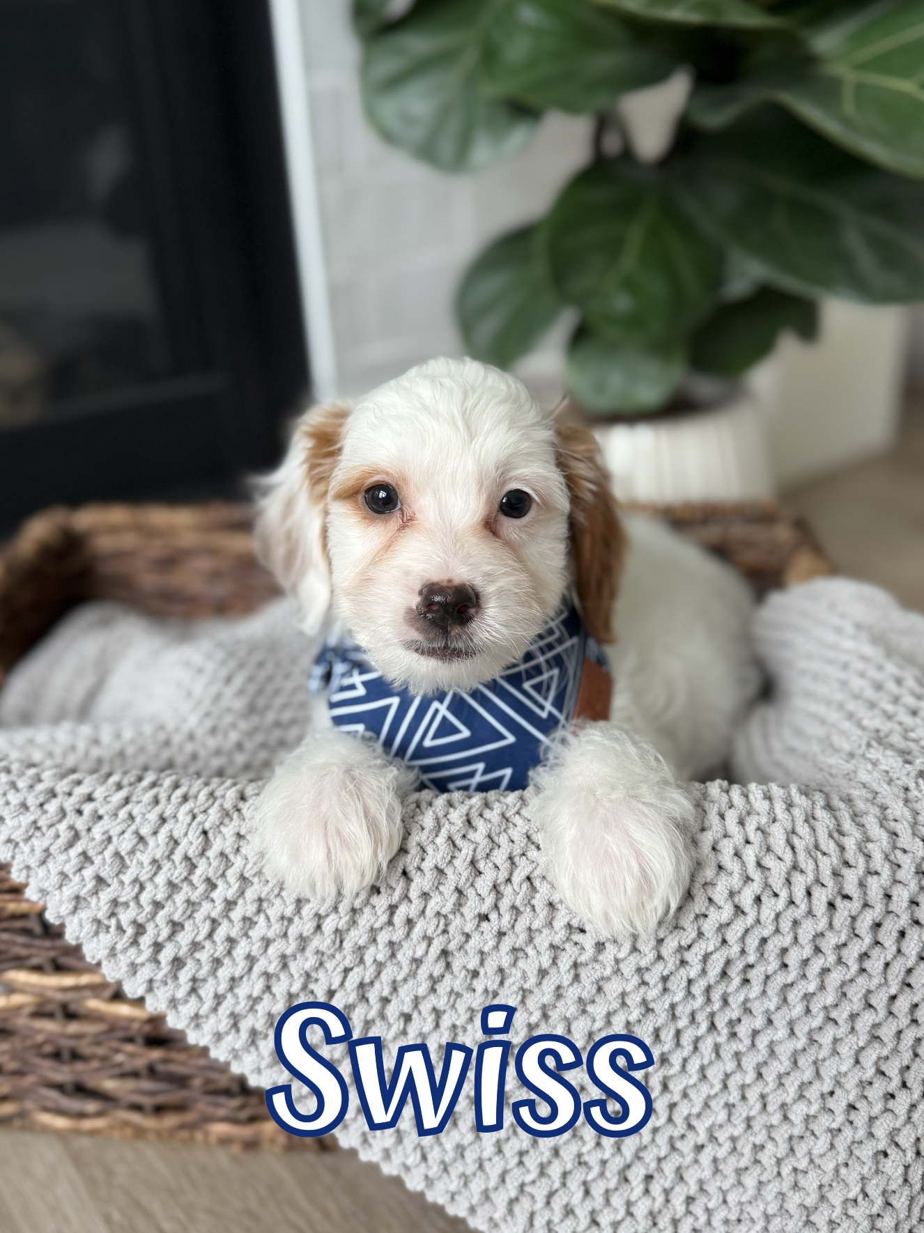 Screen Shot 2026-03-23 at 10.54.08 AM.png