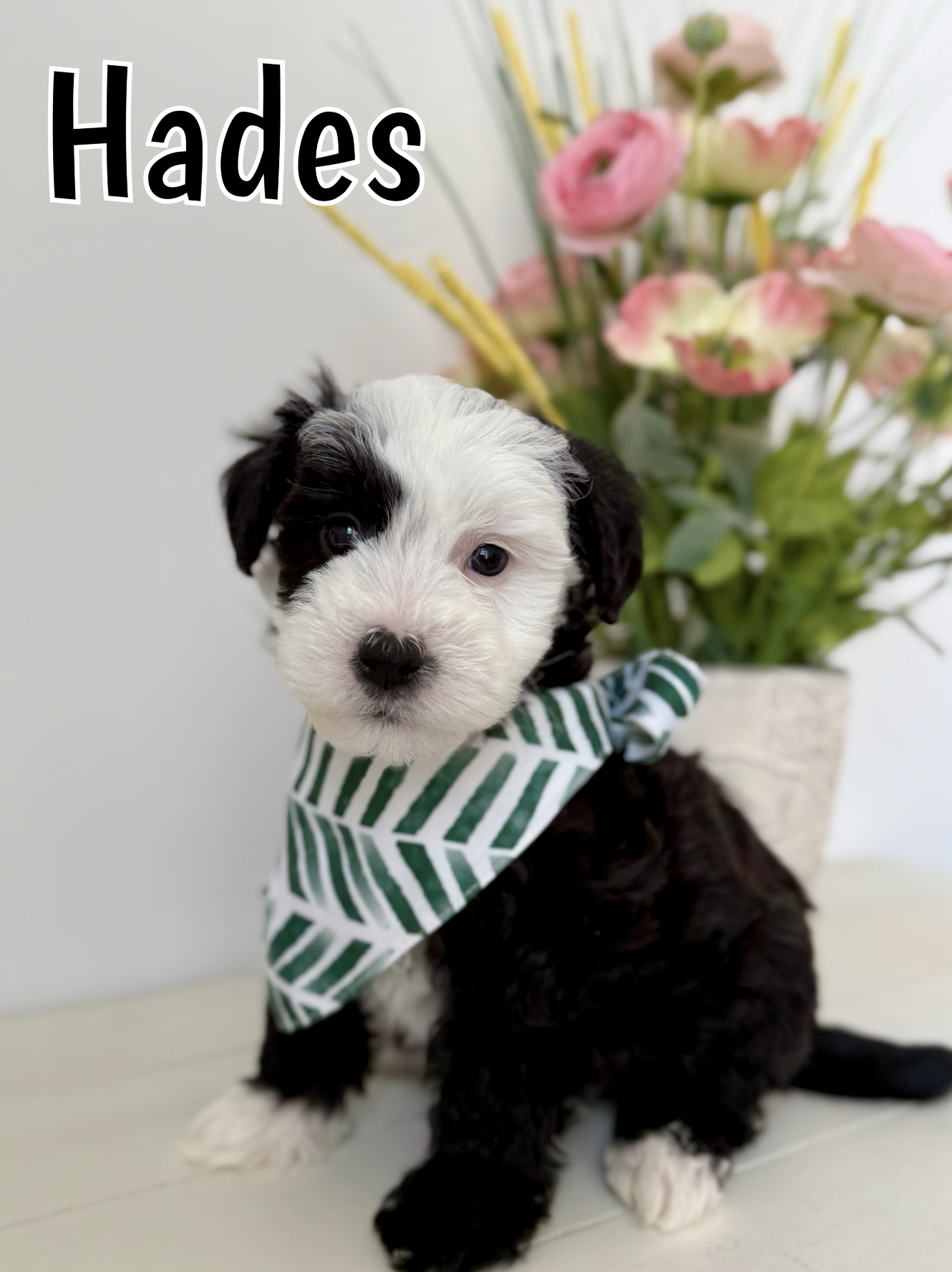 Screen Shot 2026-03-04 at 1.00.33 PM.png