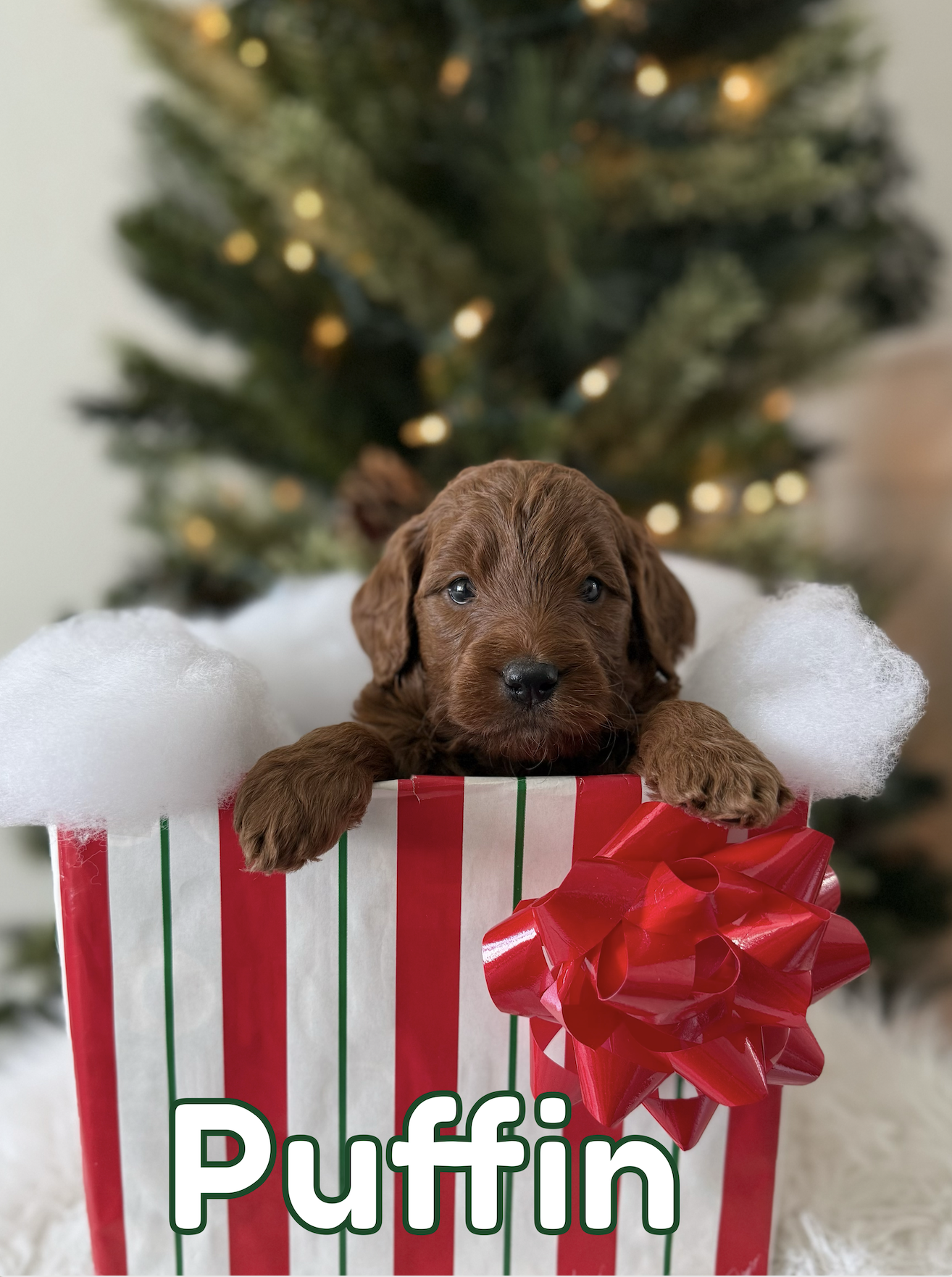 Screen Shot 2025-12-16 at 8.06.43 AM.png