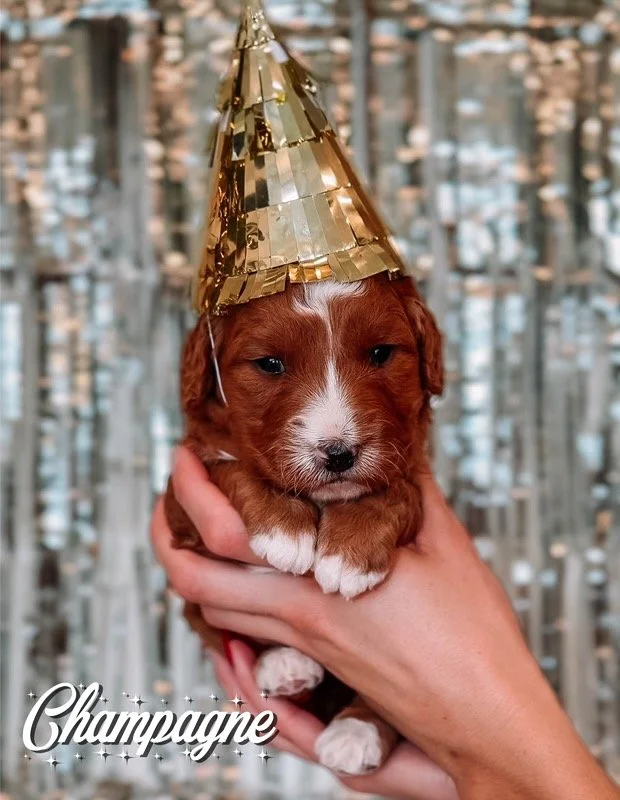 $2500 - Female