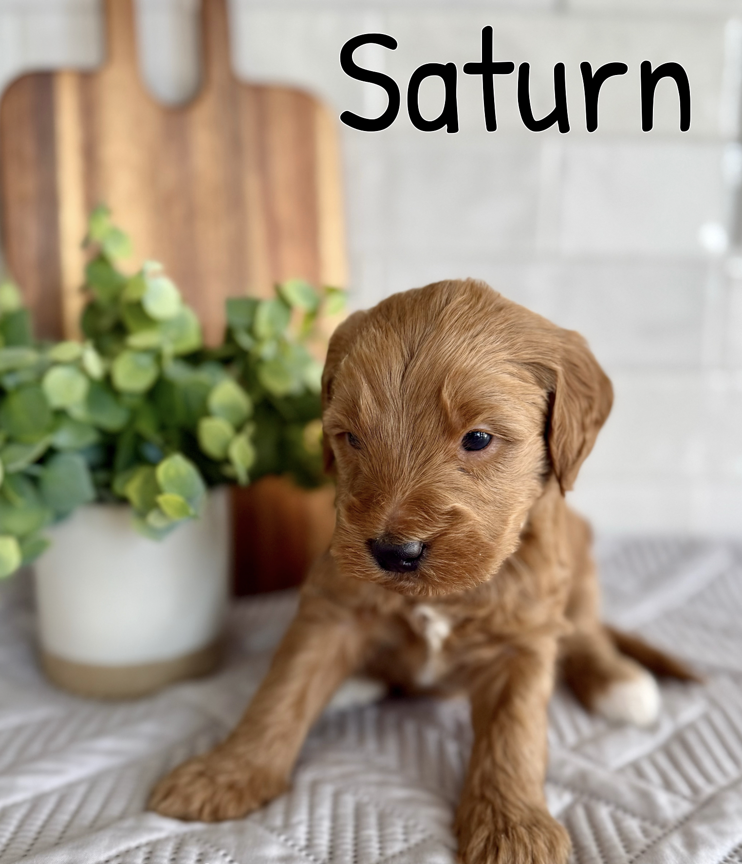 Screen Shot 2026-03-15 at 6.12.49 PM.png