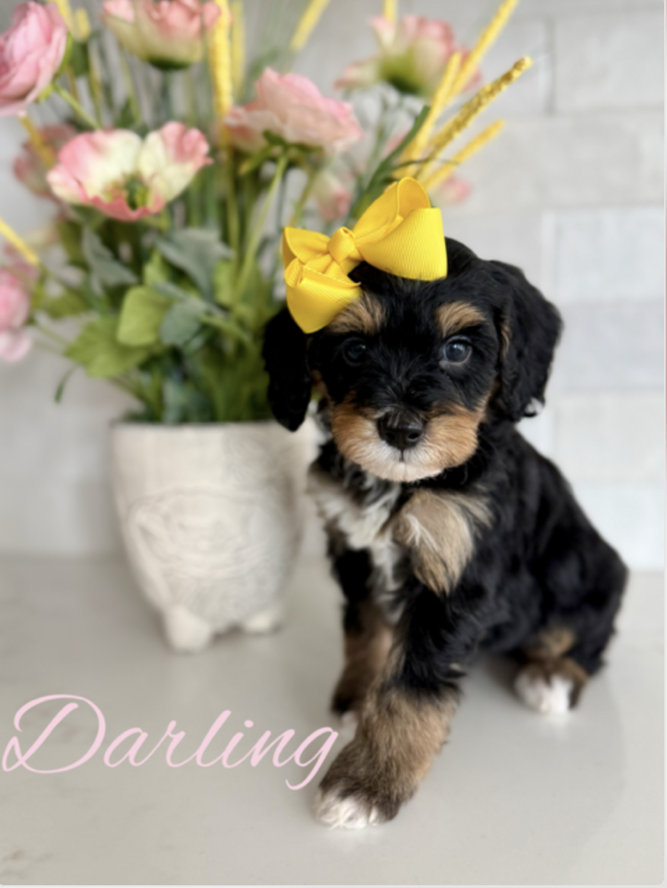 Screen Shot 2026-01-29 at 10.26.08 AM.png