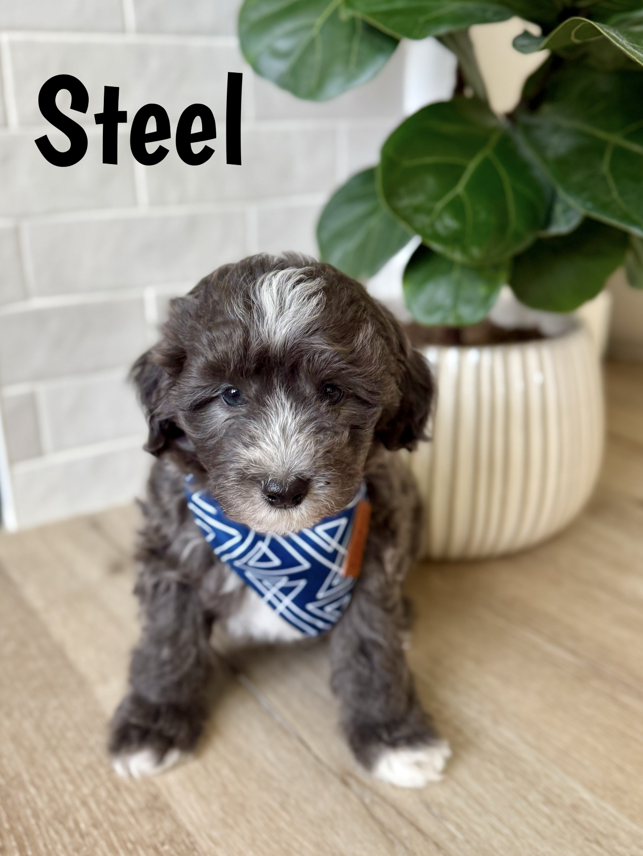 Screen Shot 2026-03-04 at 12.11.01 PM.png